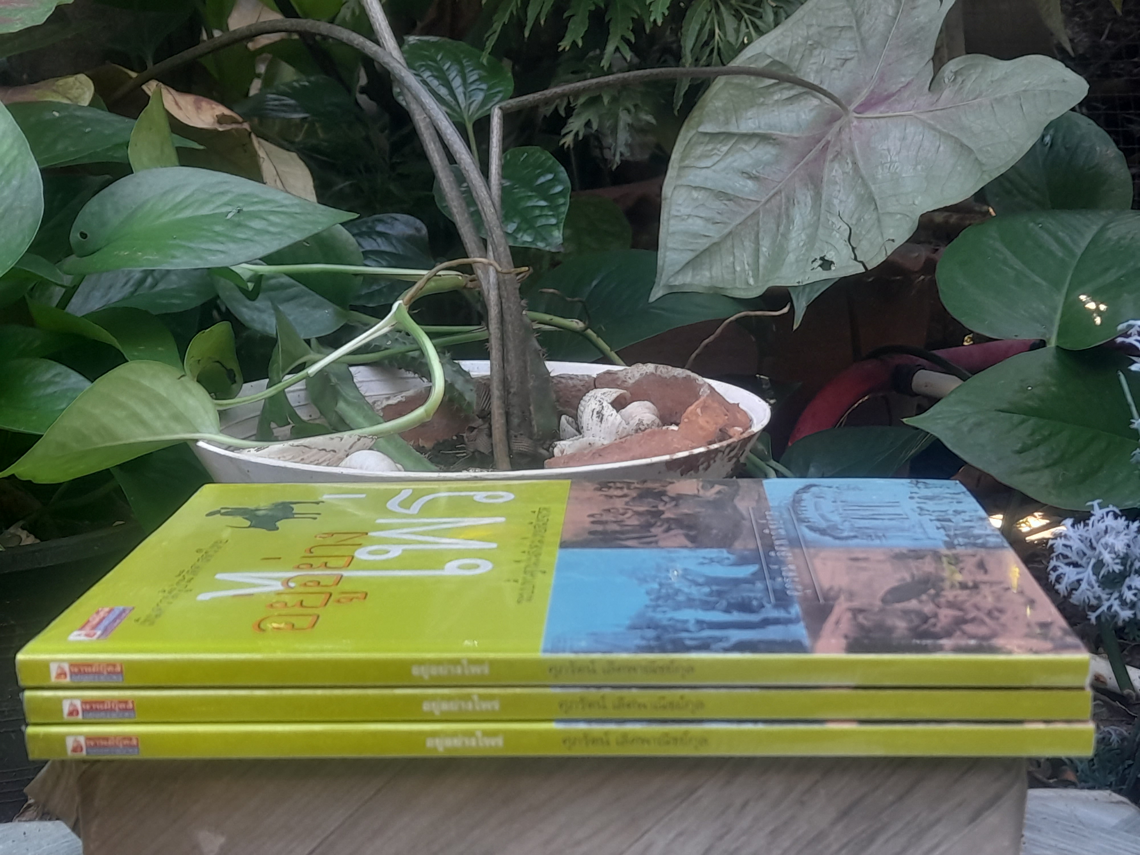 เพิ่มความรู้ประวัติศาสตร์ไทย อยู่อย่างไพร่ ระบบพื้นฐานในสังคมไทยสมัยจารีต โดย ศุภรัตน์ เลิศพาณิชย์กุล หนังสือมือหนึ่งในซีล