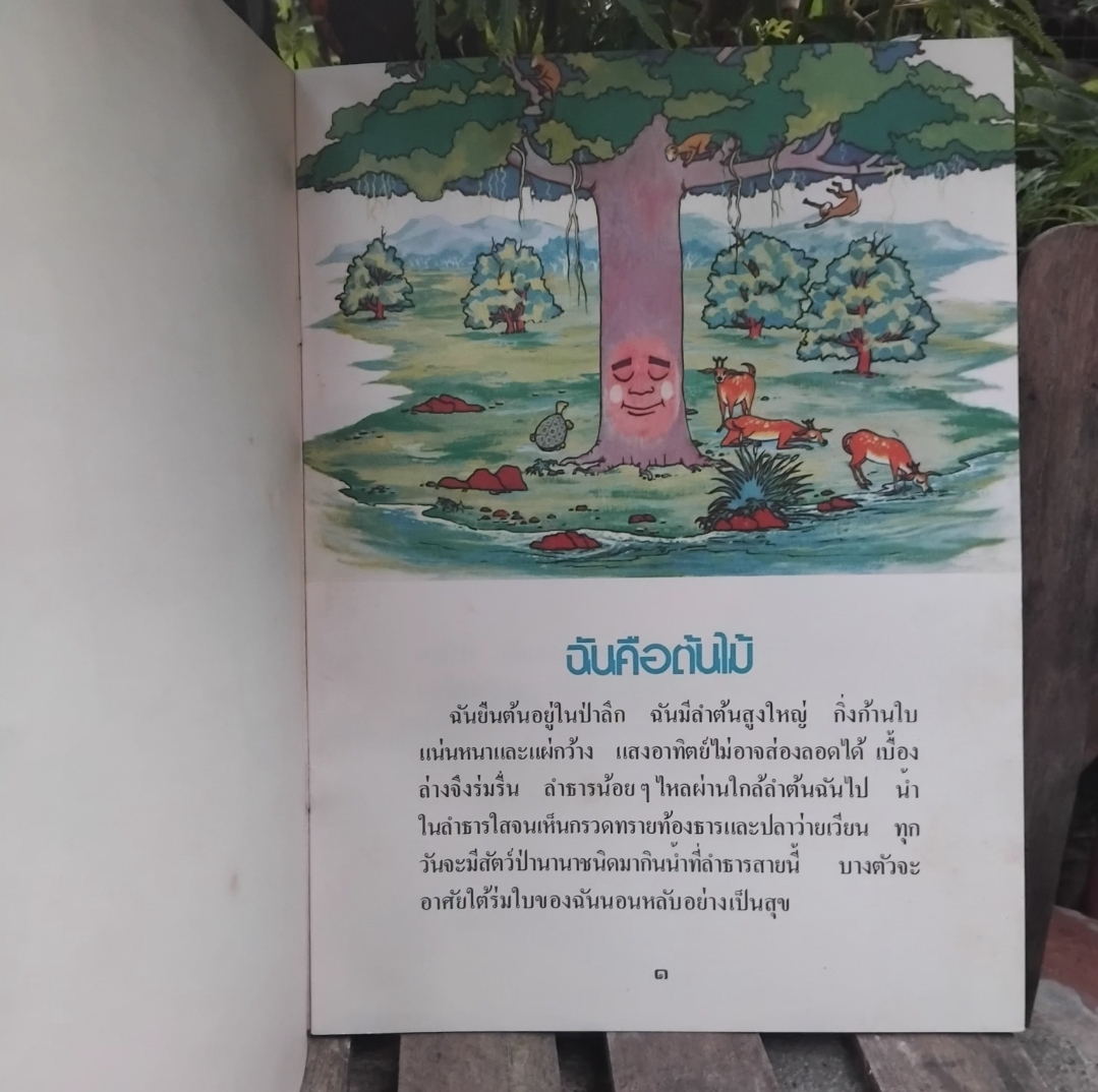 ฉันคือต้นไม้ โดย ไมตรี ลิมปิชาติ นิทานภาพที่ได้รับทั้งรางวัลภาพประกอบและถูกตีพิมพ์เป็นภาษาฝรั่งเศส มือ1