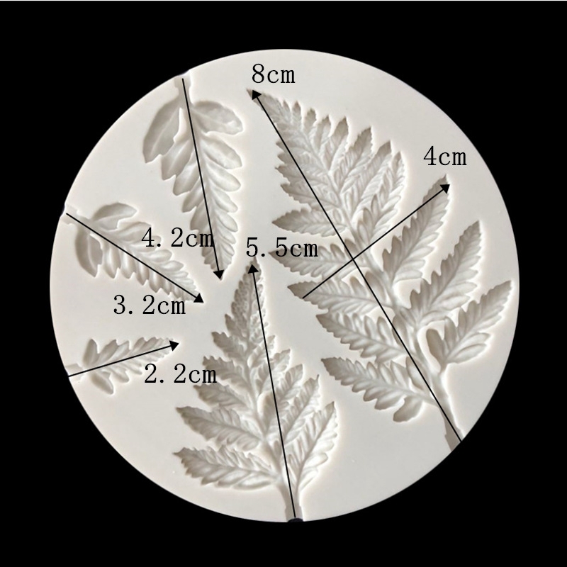 พิมพ์ฟองดอง ใบ...เฟิร์น...............