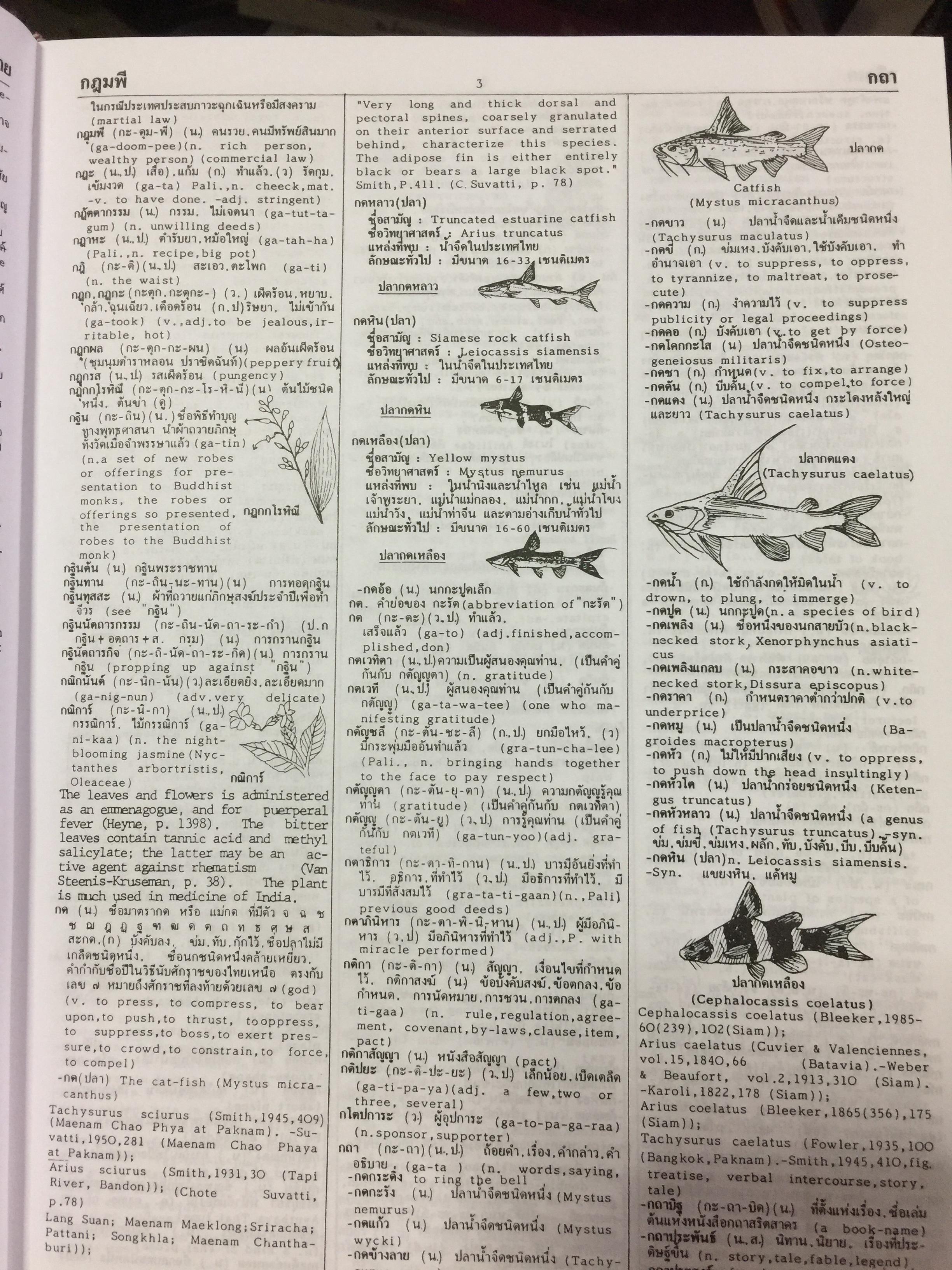 พจนานุกรม ไทย-อังกฤษ (ฉบับห้องสมุด) Thai-English Dictionary ( Library Edition ) จุคำศัพท์มากที่สุด จุความหมายสำคัญมากที่สุด จุภาพอธิบายมากที่สุด. โดยศ.ดร.วิทย์ เที่ยงบูรณธรรม 0 กก.