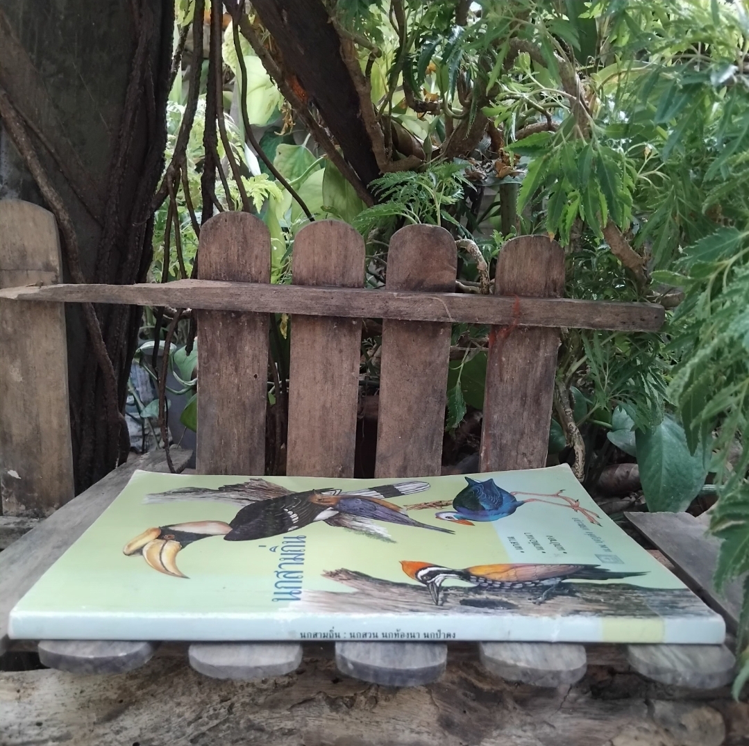 นกสามถิ่น ของ น.พ. บุญส่ง เลขะกุล สุดยอดหนังสือนกหายากอีกเล่ม มีตราปั๊มบางๆ 3 แผ่น สภาพแทบมือ1