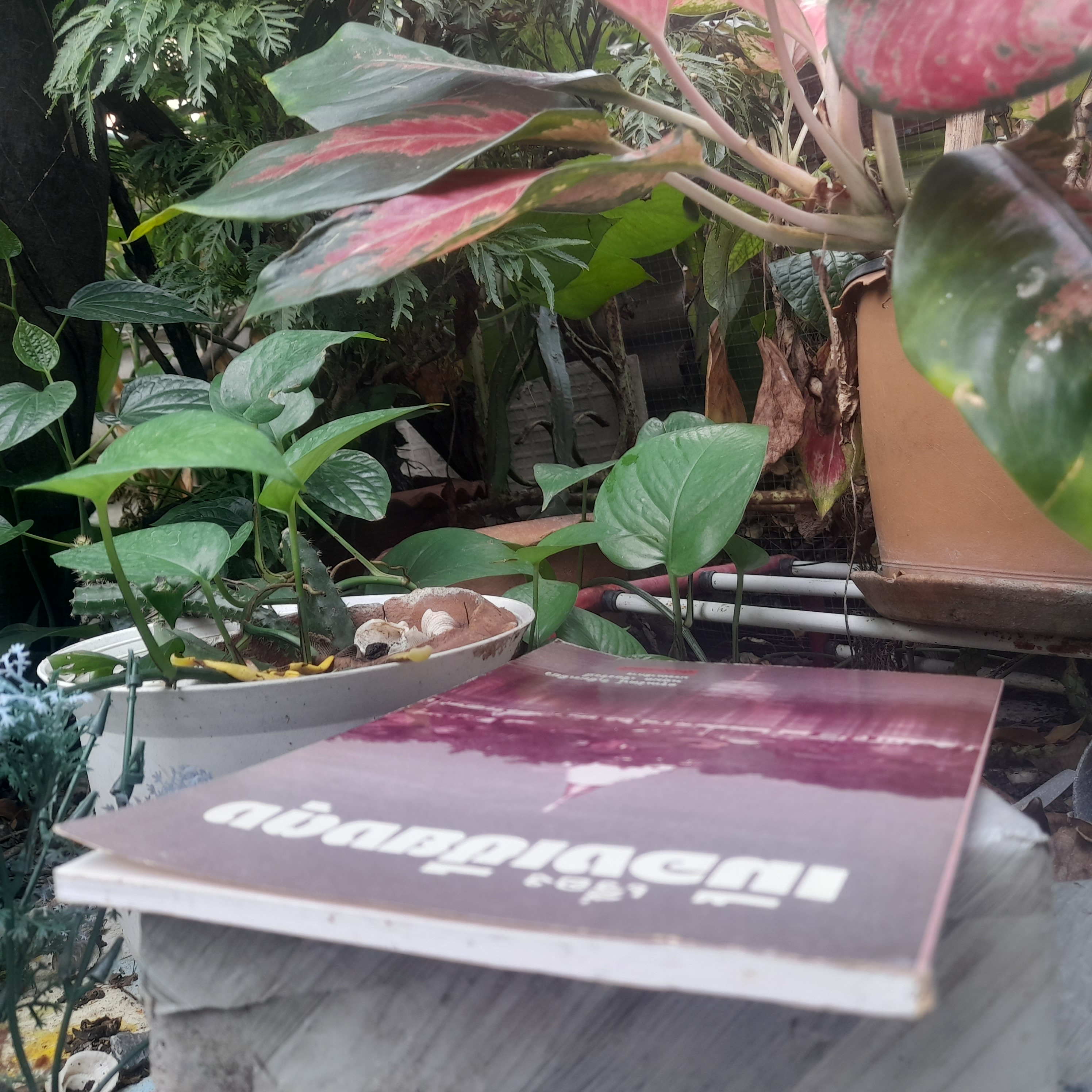 เรื่องเมืองเชียงตุง โดย อรุณรัตน์ วิเชียรเขียว ความเป็นอยู่ ประเพณี ประวัติศาสตร์ หนังสือมือหนึ่งครับ