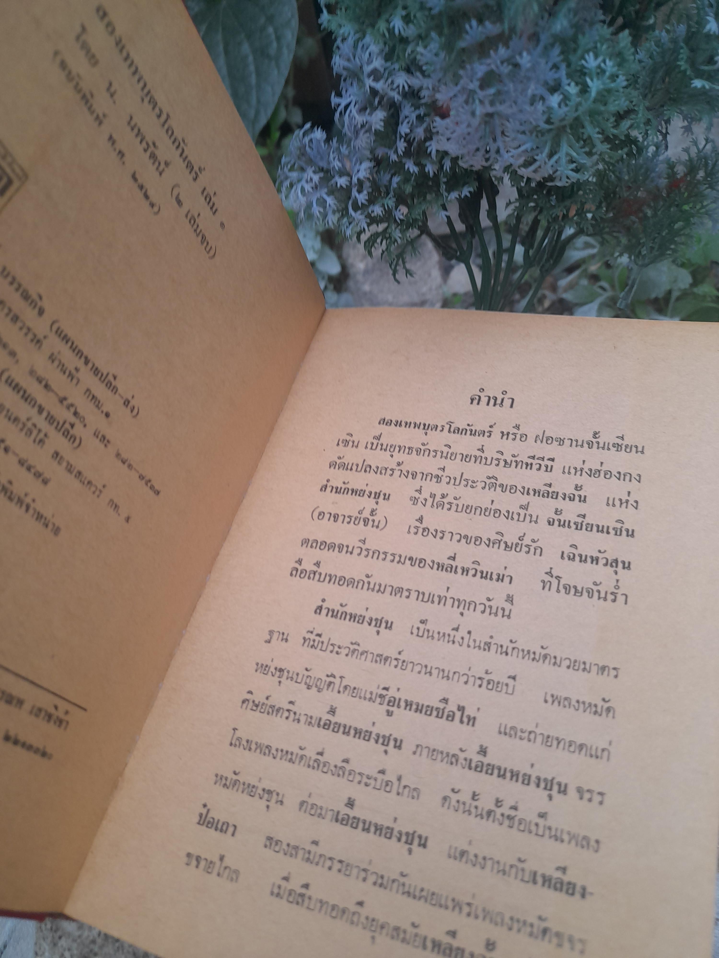 สองเทพบุตรโลกันตร์ จำนวน 2 เล่มจบ โดย น.นพรัตน์