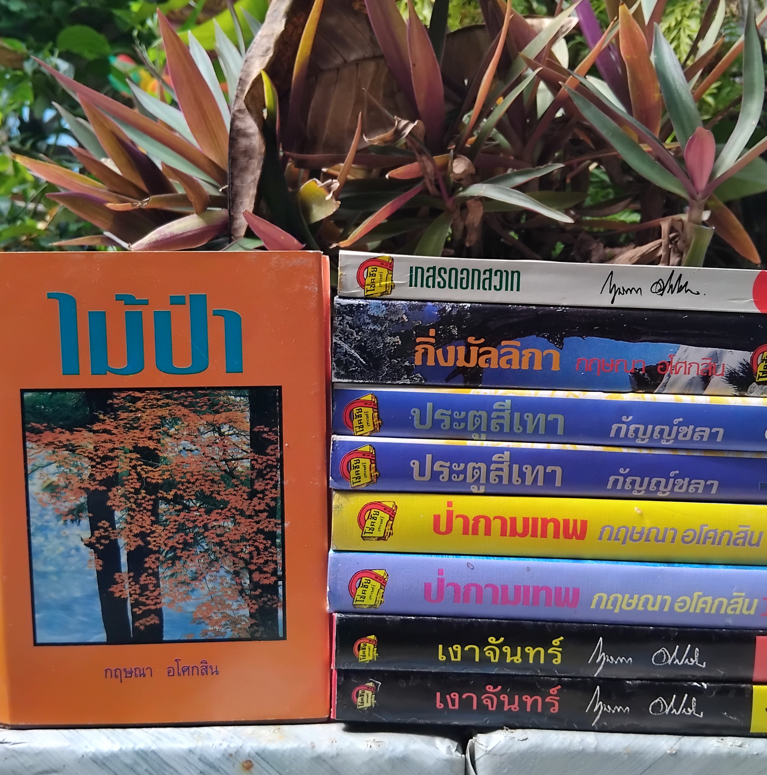 รวมนวนิยายของ กฤษณา อโศกสิน หนังสือมือหนึ่ง นอกซีล