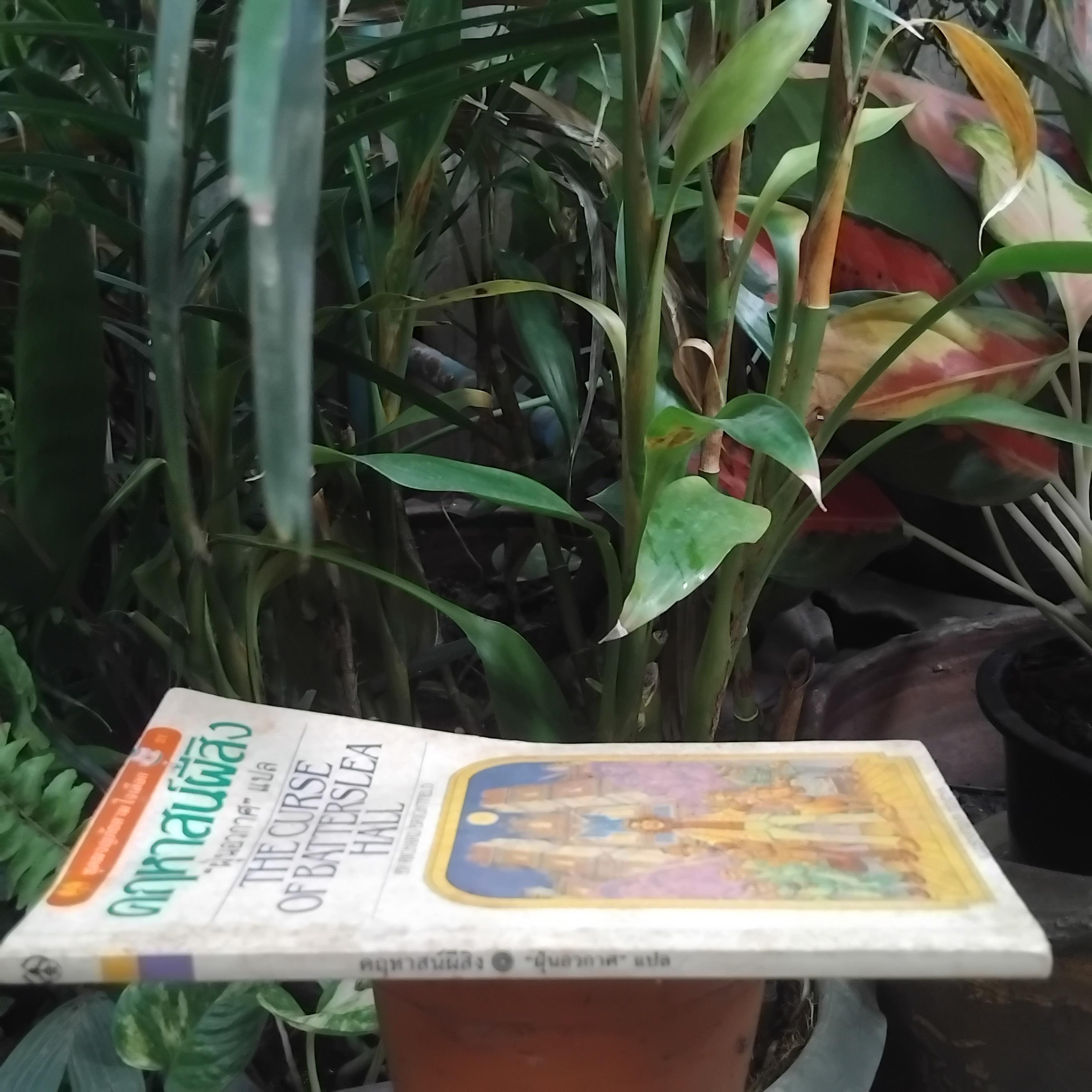 คฤหาสน์ผีสิง The Curse of Batterslea Hall โดย Richard Brightfield หนังสือที่คุณเลือกเรื่องราวที่จะเกิดขึ้นด้วยตัวเอง