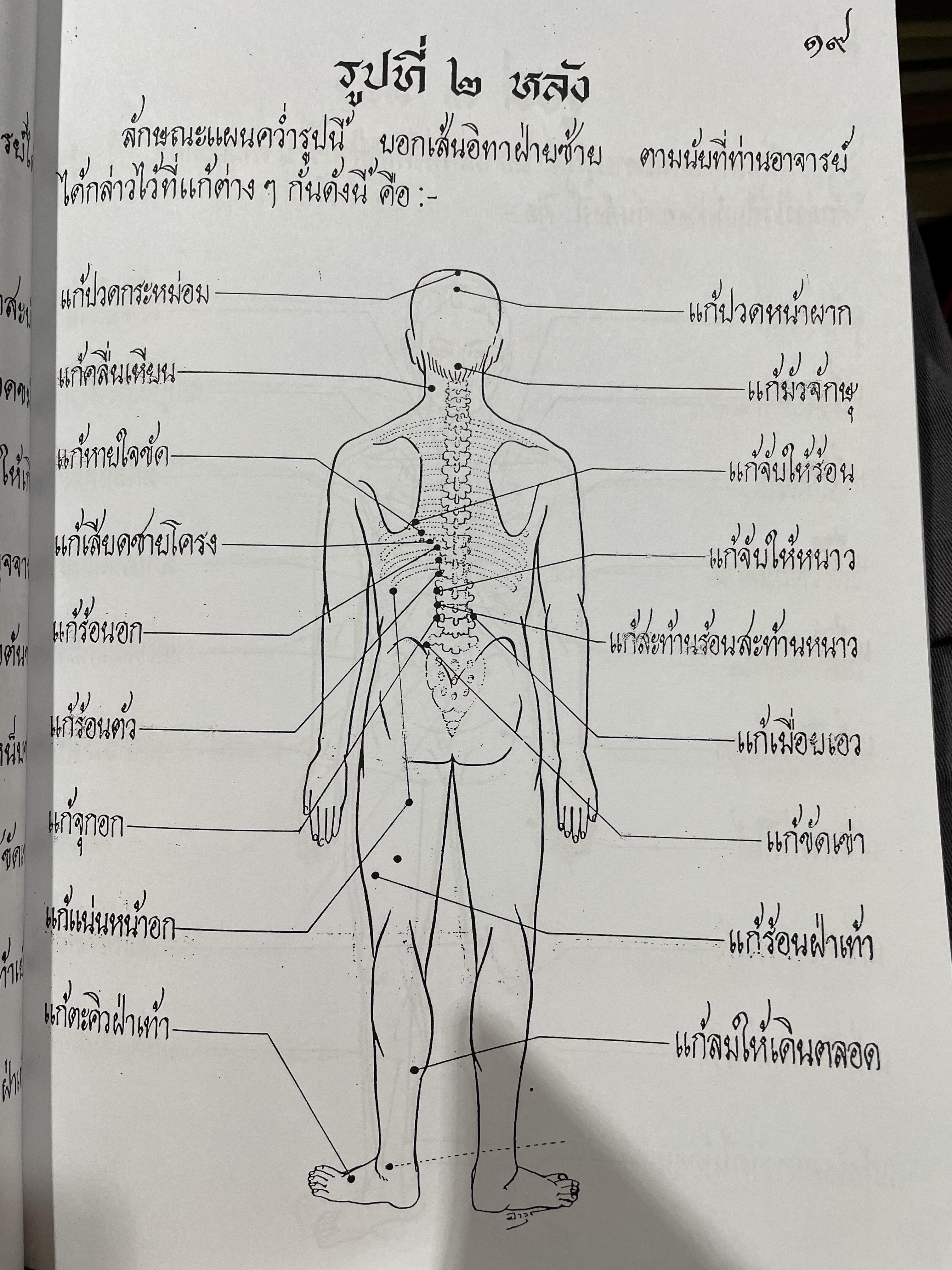 ตำราหมอนวด พระบรมครูชีวกโกมารถัจจฺ ฉบับสมบูรณ์ ภาพประกอบ 66 ภาพ ฤาษีดัดตน 114 ภาพ ดำเนินการโดย หมอ นคร บางยี่ขัน 3 กก.