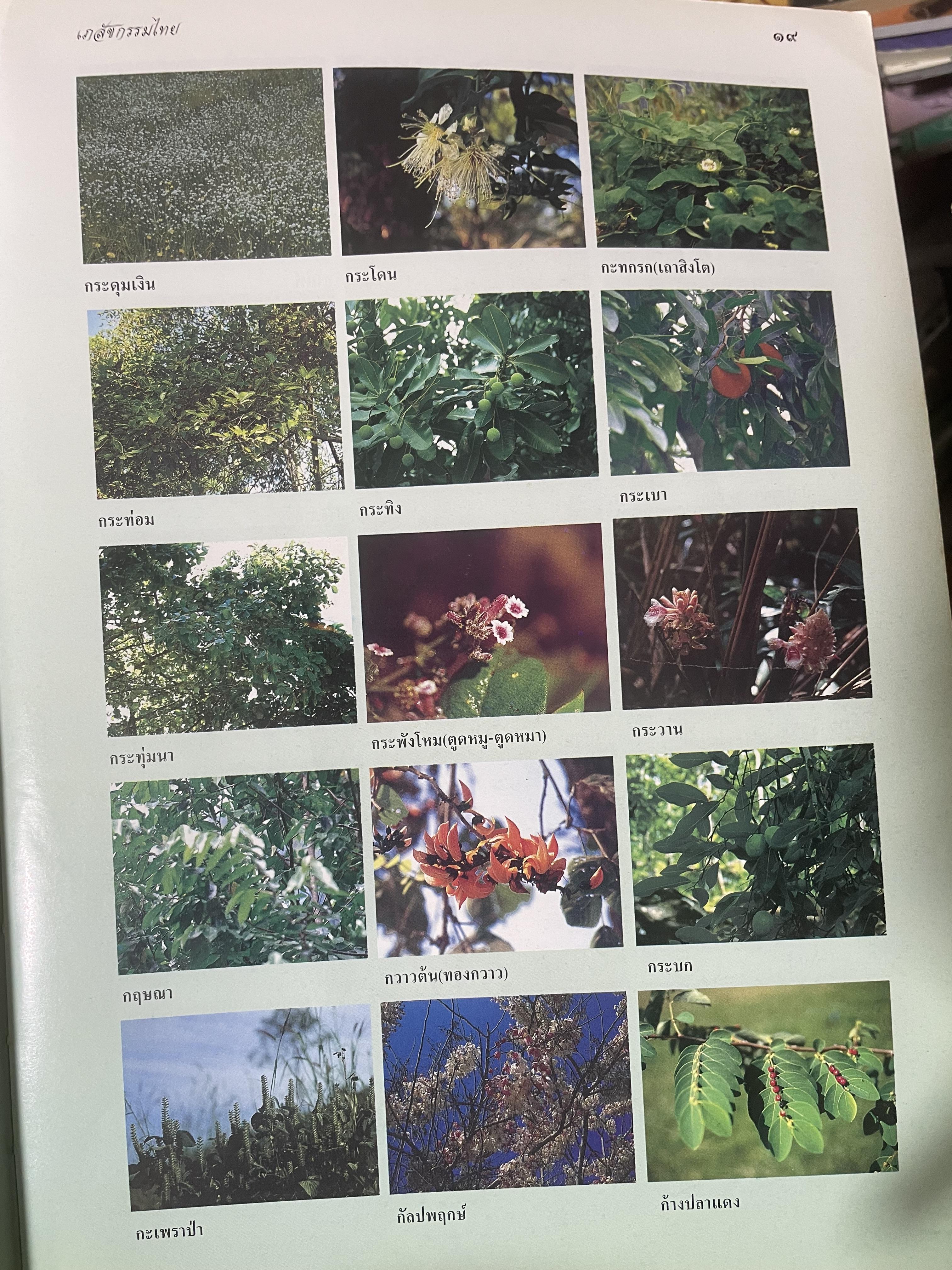 เภสัชกรรมไทยรวมสมุนไพร ฉบับปรับปรุงใหม่ โดน วุฒิ วุฒิธรรมเวช เป็นหนังสือมือสองเล่มใหญ่สภาพดี 4,500 กรัม