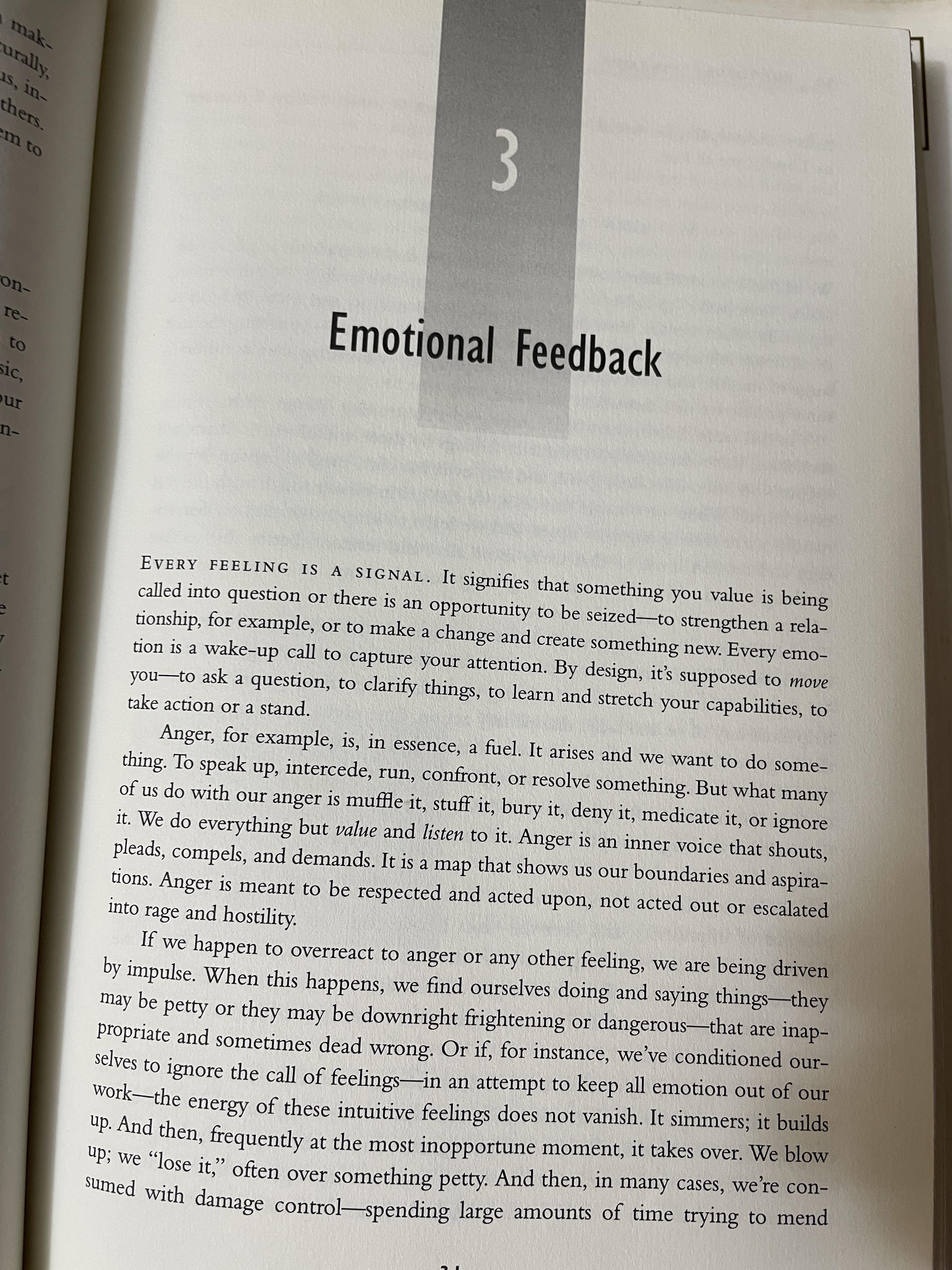 Executive EQ. Emotional Intelligence in Leadership & Organizations. 3,500 กรัม