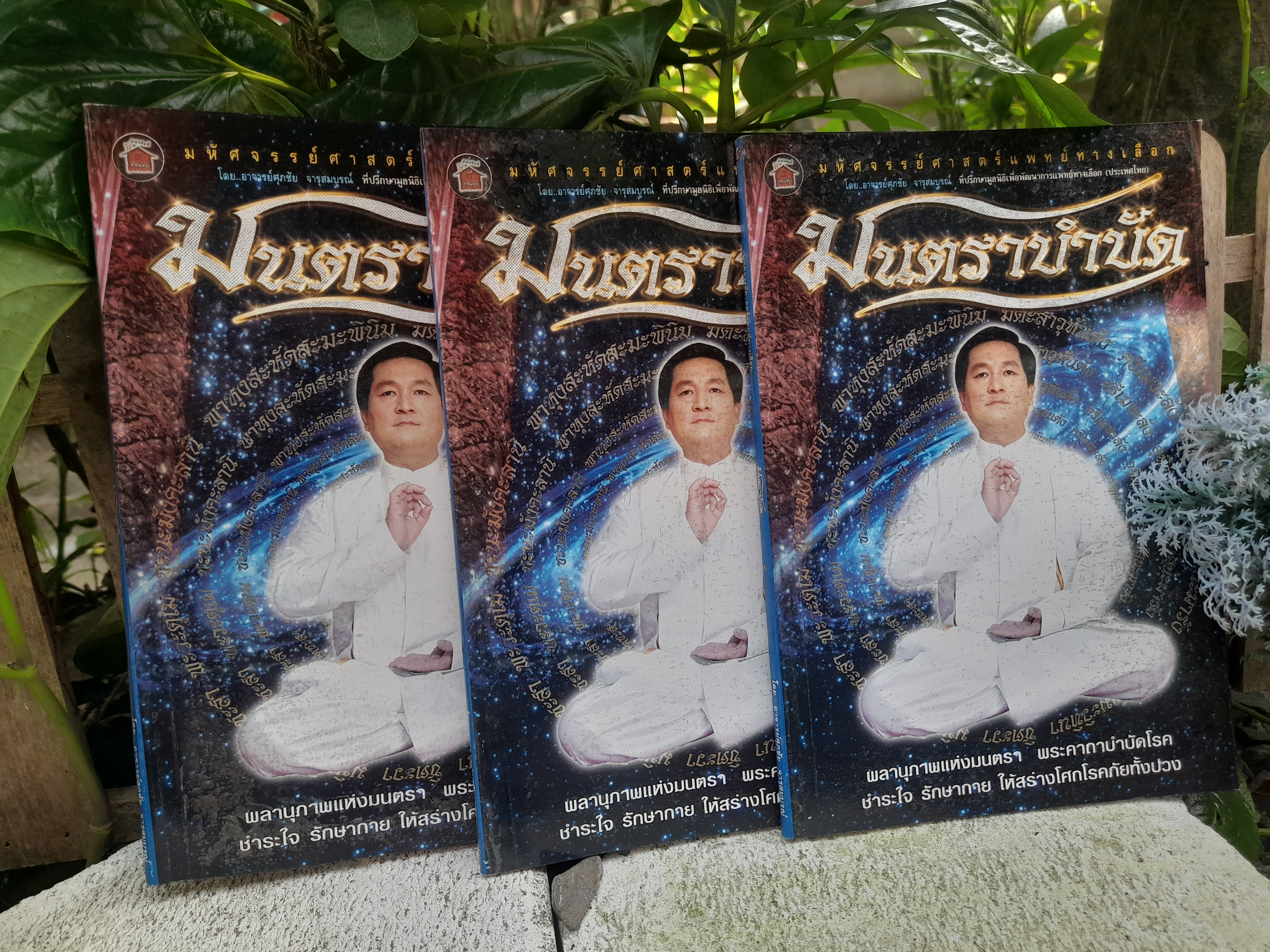 มนตราบำบัด โดย ศุภชัย จารุสมบูรณ์ มหัศจรรย์ศาสตร์แพทย์ทางเลือก