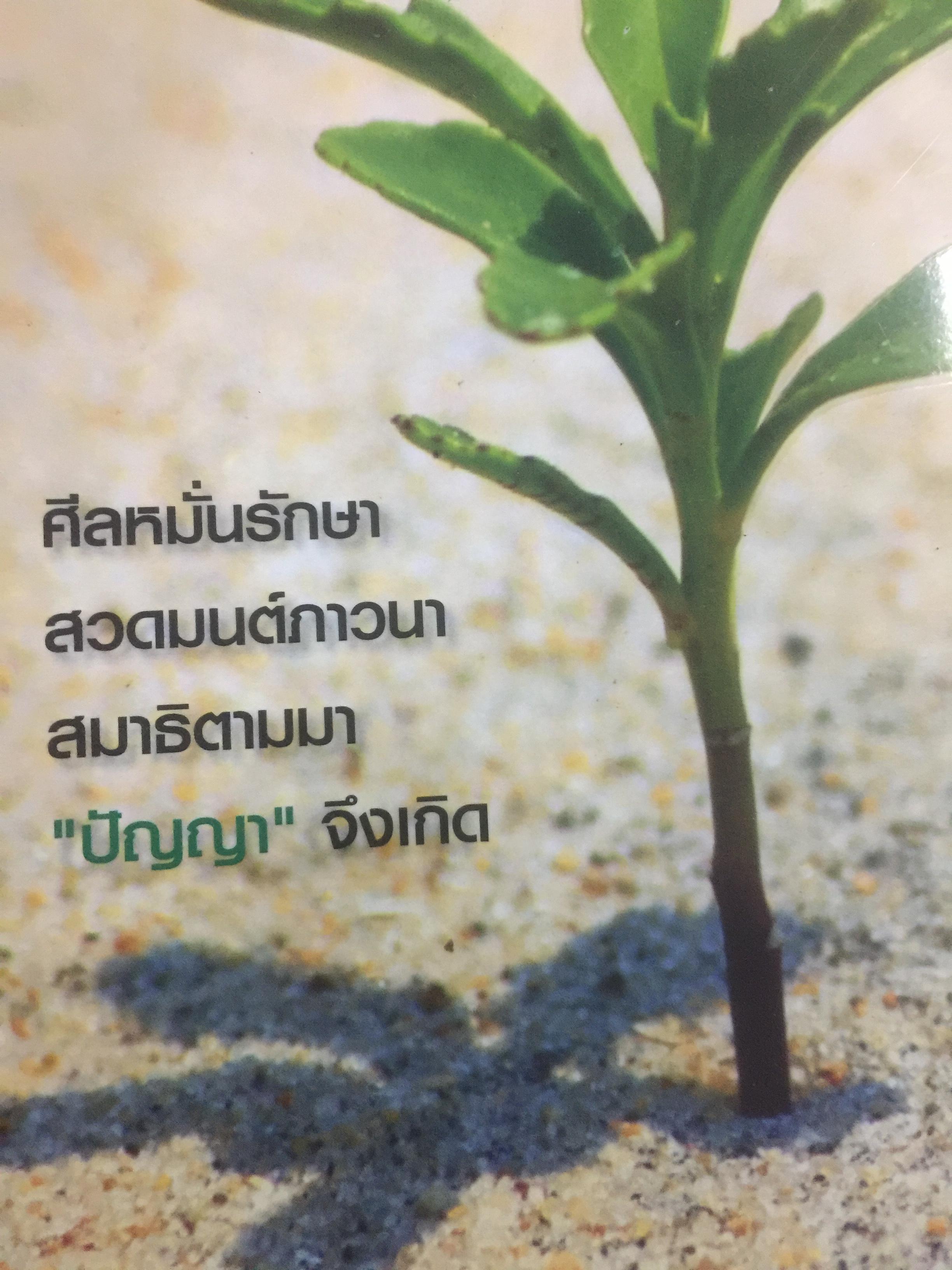 ชินบัญชร สวดมนต์อย่างไร ให้ใจเป็นสุข. ผู้เรียบเรียง ษรวัฒน์ 0 กก.