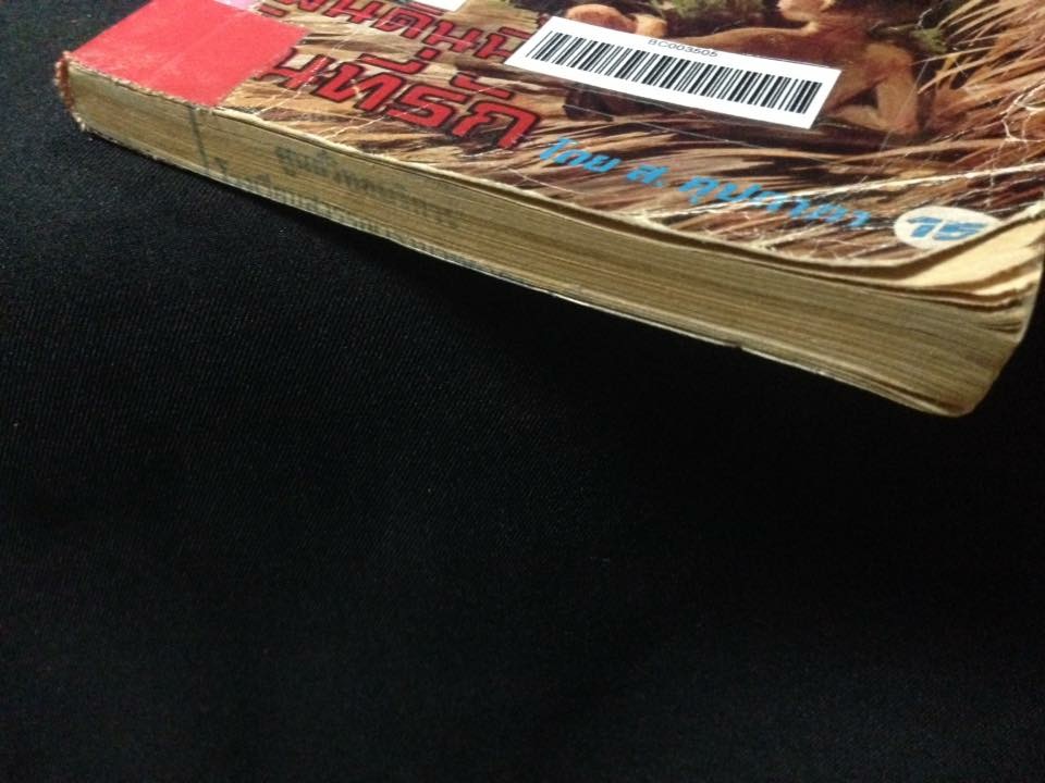 แผ่นดินนี้เป็นที่รัก