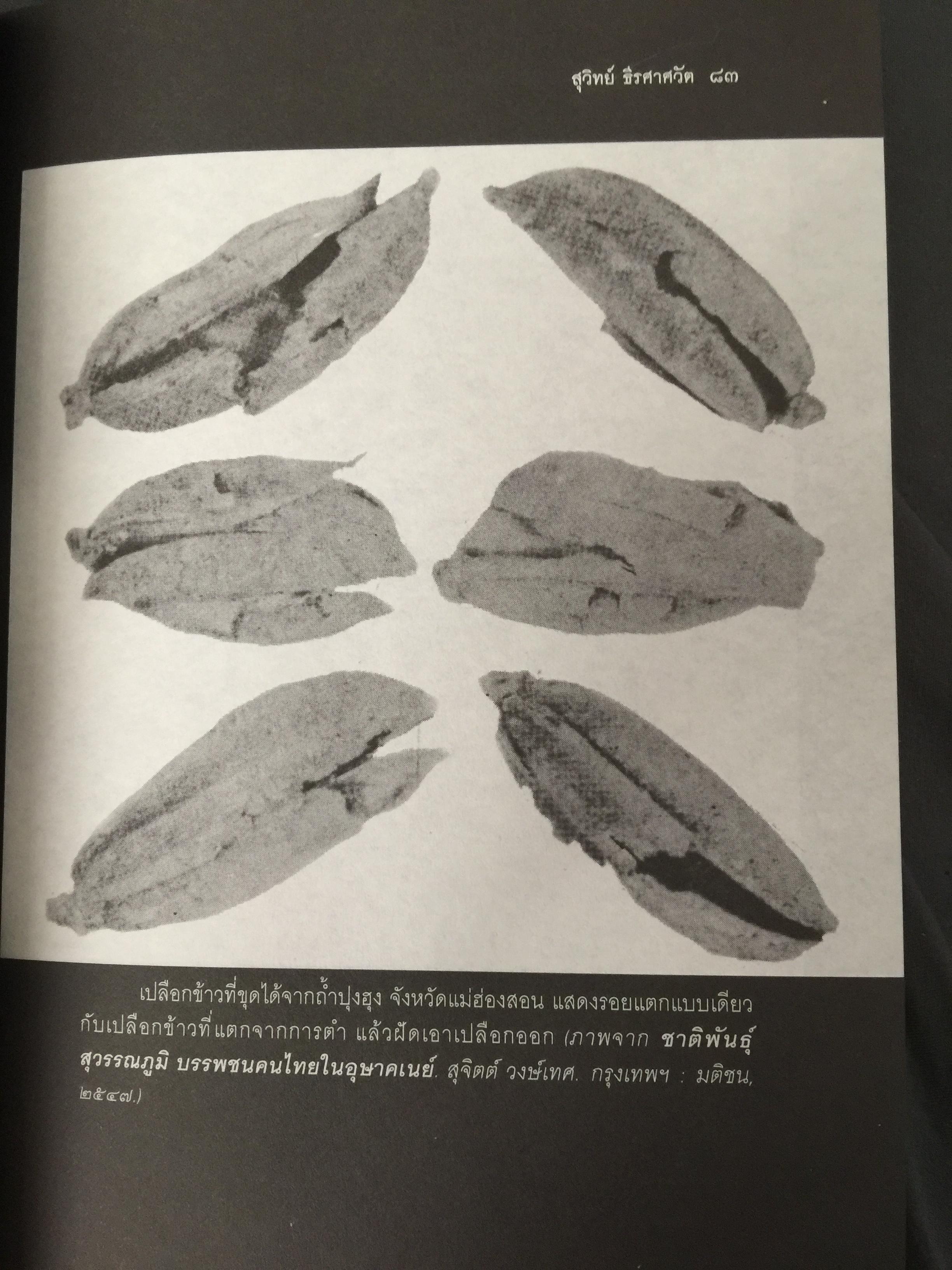 ประวัติศาสตร์เทคโนโลยีการเกษตร. หนังสือชุด ศิลปวัฒนธรรมฉบับพิเศษ ผู้เขียน สุวิทย์ ธีรศาศวัต_ วิวัฒนาการและผลกระทบของเทคโนโลยีการเกษตร จากสมัยสุโขทัย ถึงสมัย รัชกาลที่ 5. 0 กก.