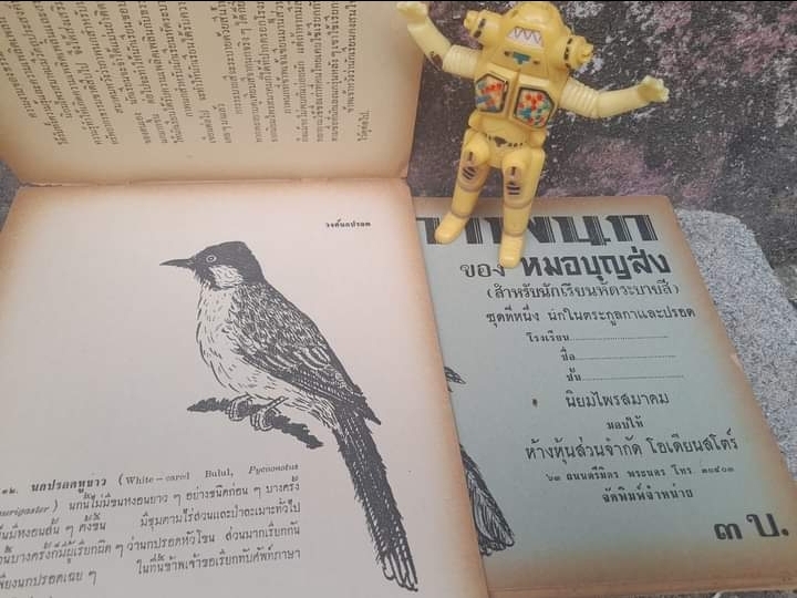 หนังสือภาพนก ของหมอบุญส่ง นกในตระกูลกาและปรอด หนังสือหายาก มีค่าน่าสะสม