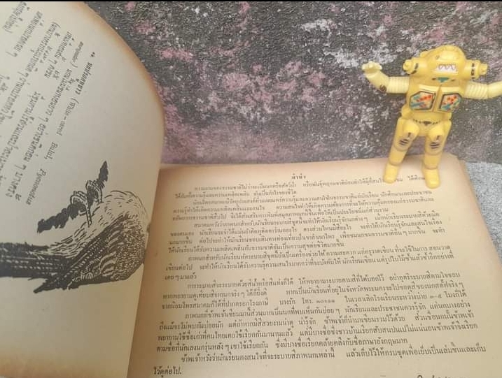 หนังสือภาพนก ของหมอบุญส่ง นกในตระกูลกาและปรอด หนังสือหายาก มีค่าน่าสะสม