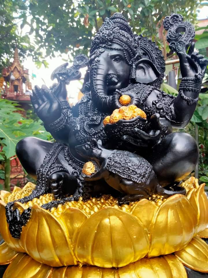 พระพิฆเนศองค์ดำ อภิมหาเศรษฐี ปางราหู เพิ่มสีทองที่ฐานบัว ทำให้องค์ท่านให้ดูเด่น สง่ามากๆครับ