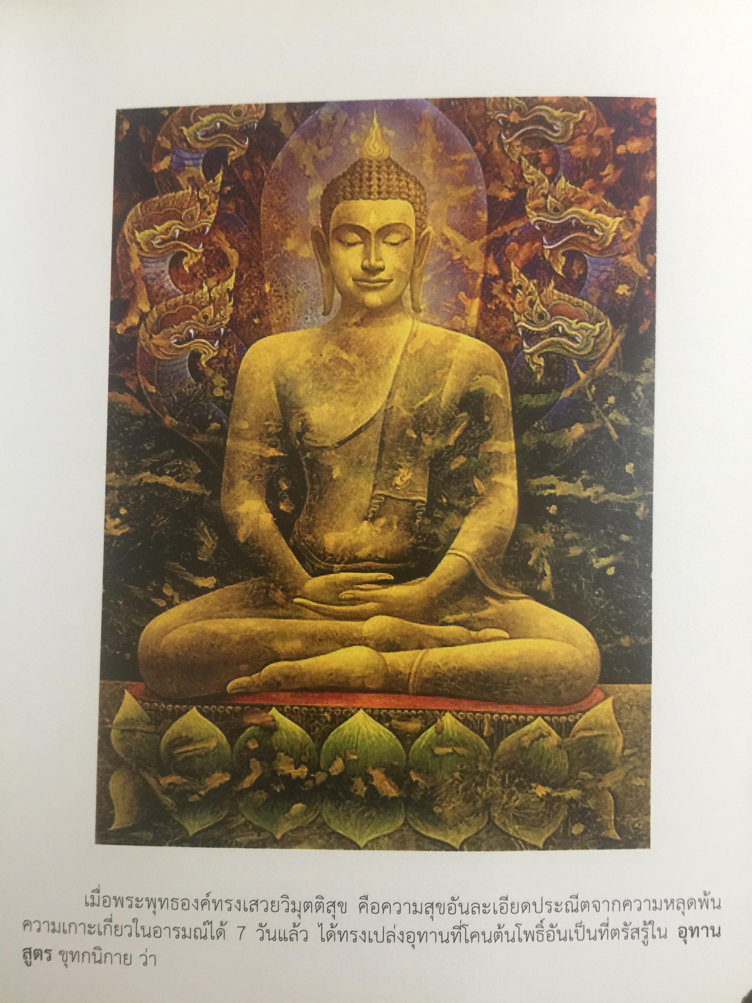 ชีวิตพระพุทธศาสนา และวิทยาศาสตร์. พุทธวิทยาศาสตร์แห่งชีวิต. ผู้เขียน ดร:รุ่งเรือง ลิ้มชูปฏิภาณ์ 4 กก.