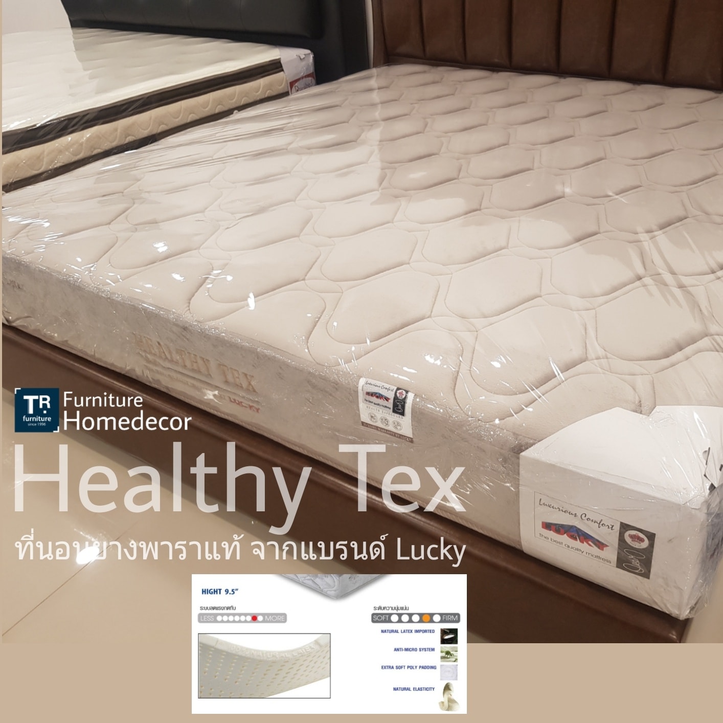 ที่นอนยางพารา รุ่น Healthy Tex 6 ฟุต : Lucky