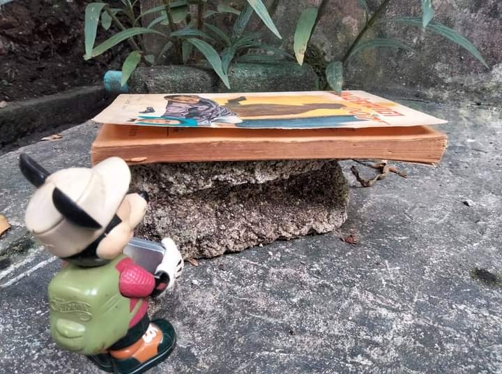 พยัคฆ์ร้าย007 ชุด James Bond ลำดับที่ 6