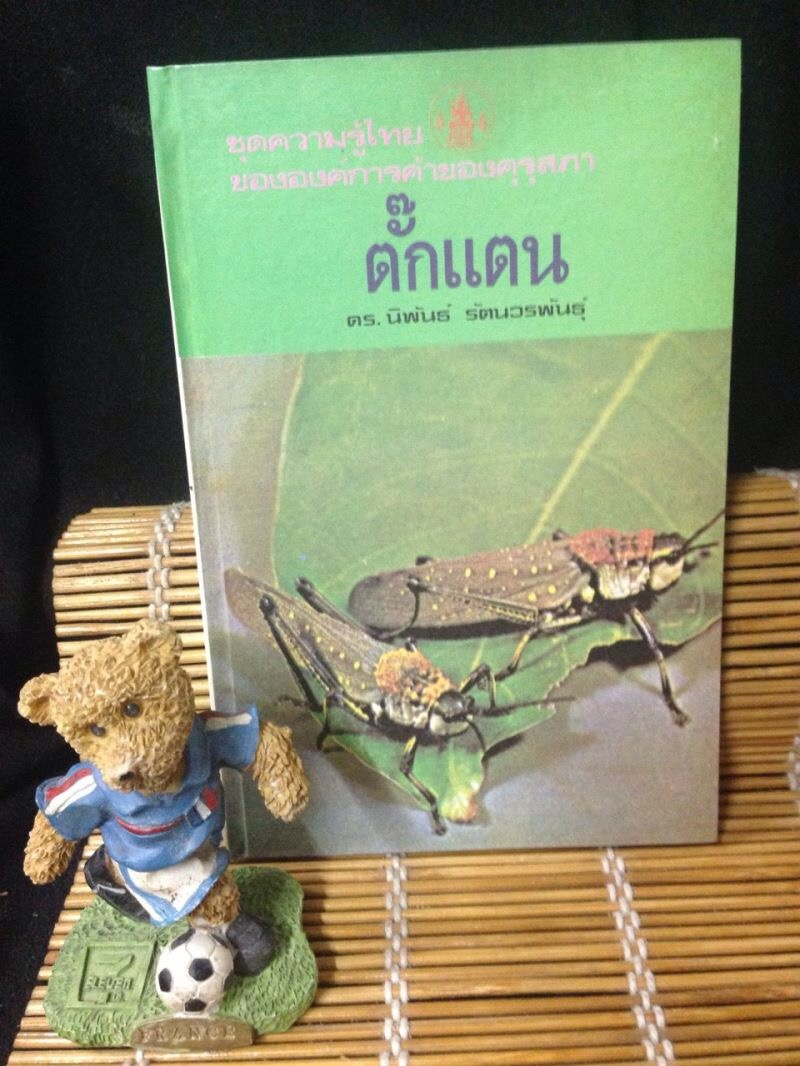 ตั๊กแตน