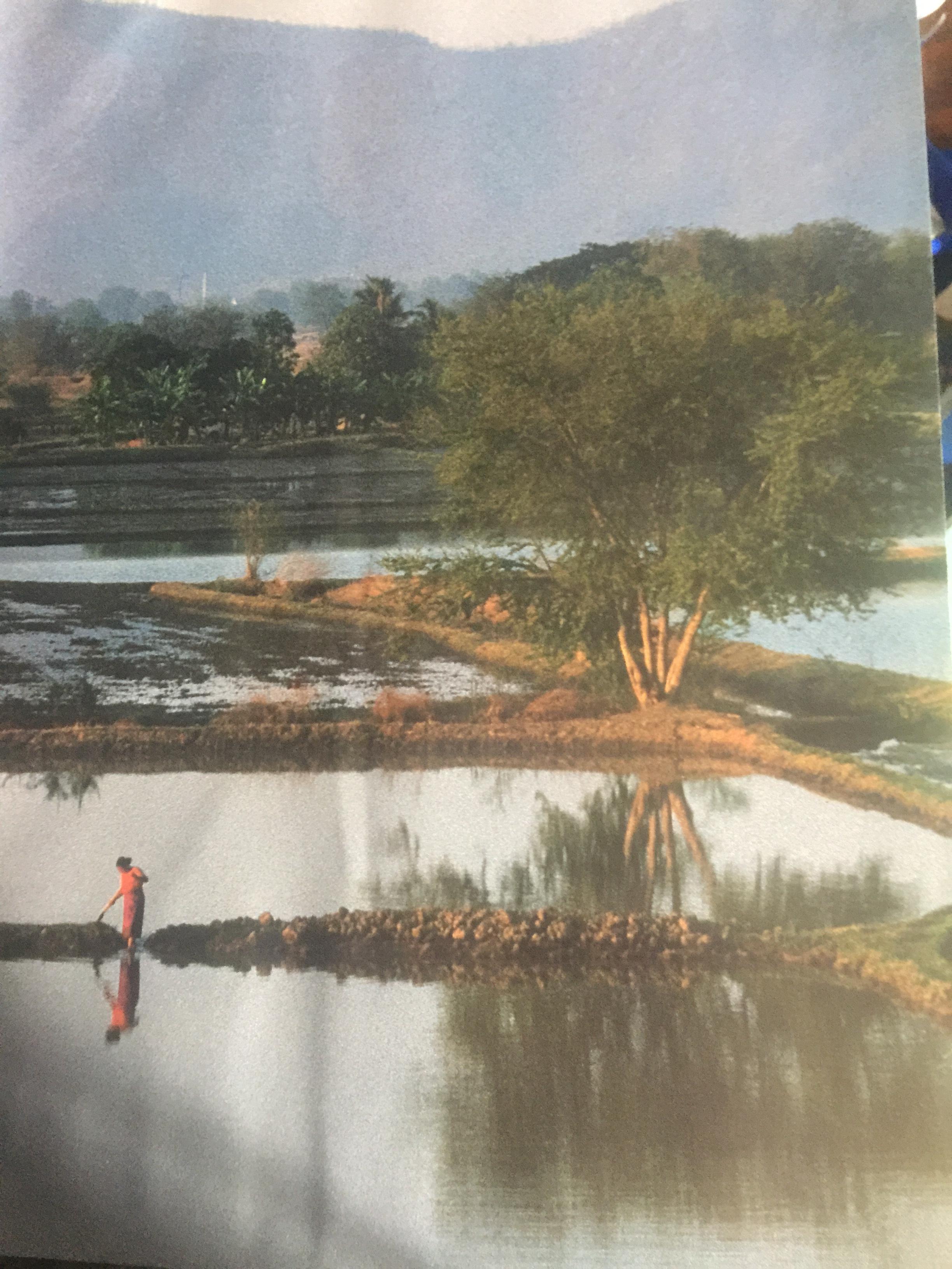 THAILAND A Day in the Life of Thailand. Photographed by more than 50 of the World ‘s best Photojournalists on a single day 750 กรัม