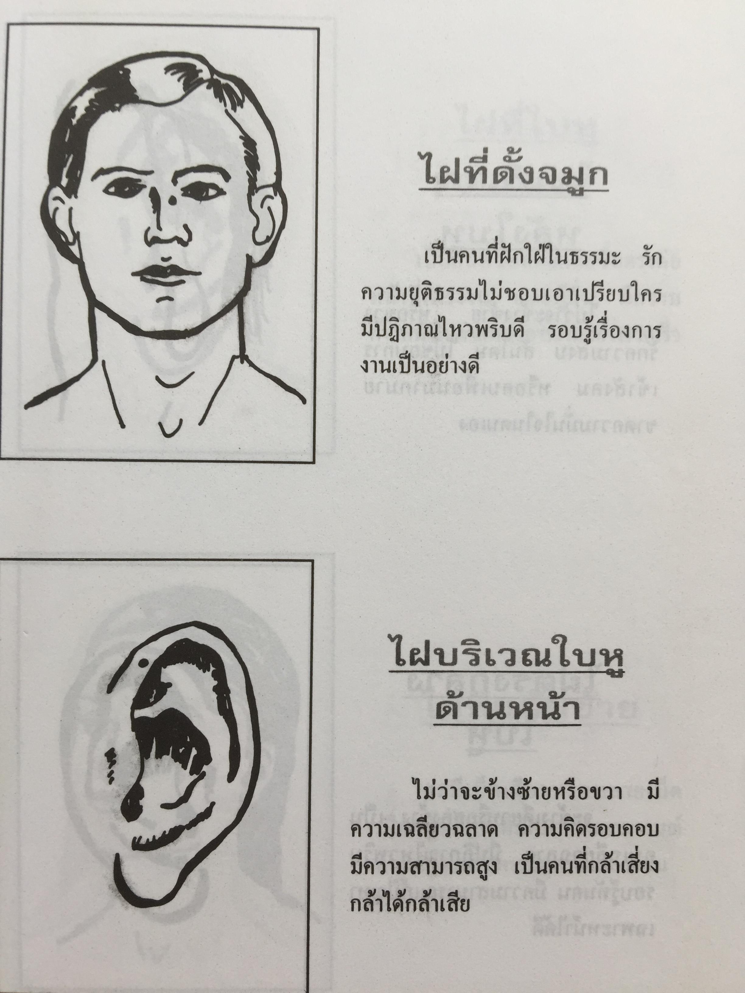 1)ลายมือคือตัวแทนของคุณ. ลักษณ์ เรขานิเทศ 2) แนะลายเส้นบนฝ่ามือ เสน่ห์ ชูกุล. 3)โหรใหญ่คุยเฟื่องเรื่องลายมือ บัญชา เลิศธนู 4) ทำนายลายมือ ทำนายปาน-ไฝ ทายใจ ทำนายอนาคต. ส.วิษณุรักษ์ 0 กก.