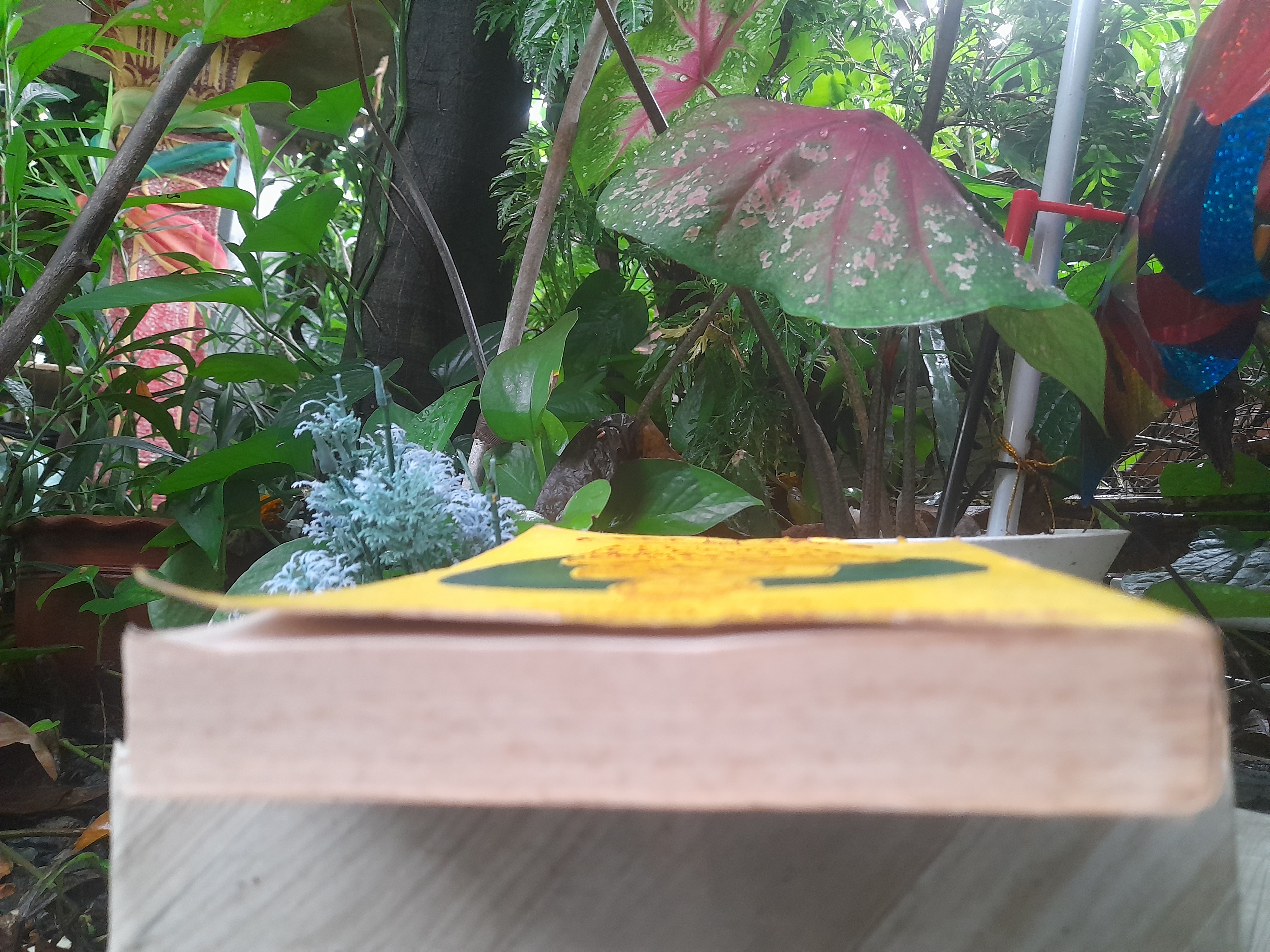 พุทธประวัติจากสังเวชนียสถาน โดย ไพโรจน์ คุ้มไพโรจน์ หนังสือที่เล่าเรื่องสถานที่สำคัญที่เกี่ยวเนื่องกับพระพุทธองค์ ตามลำดับเวลา