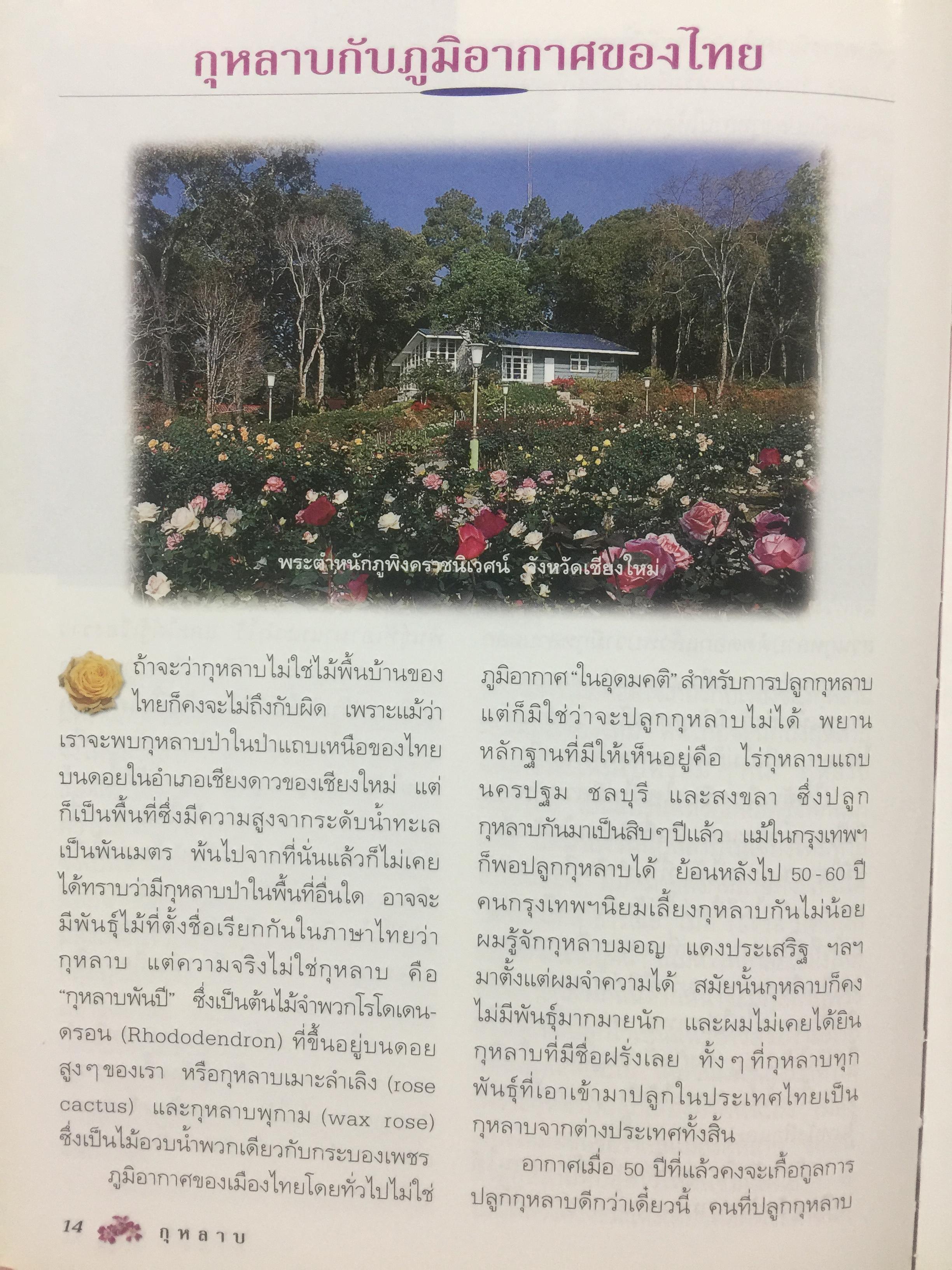 กุหลาบ. ผู้เขียน พจนา นาควัชระ 3 กก.