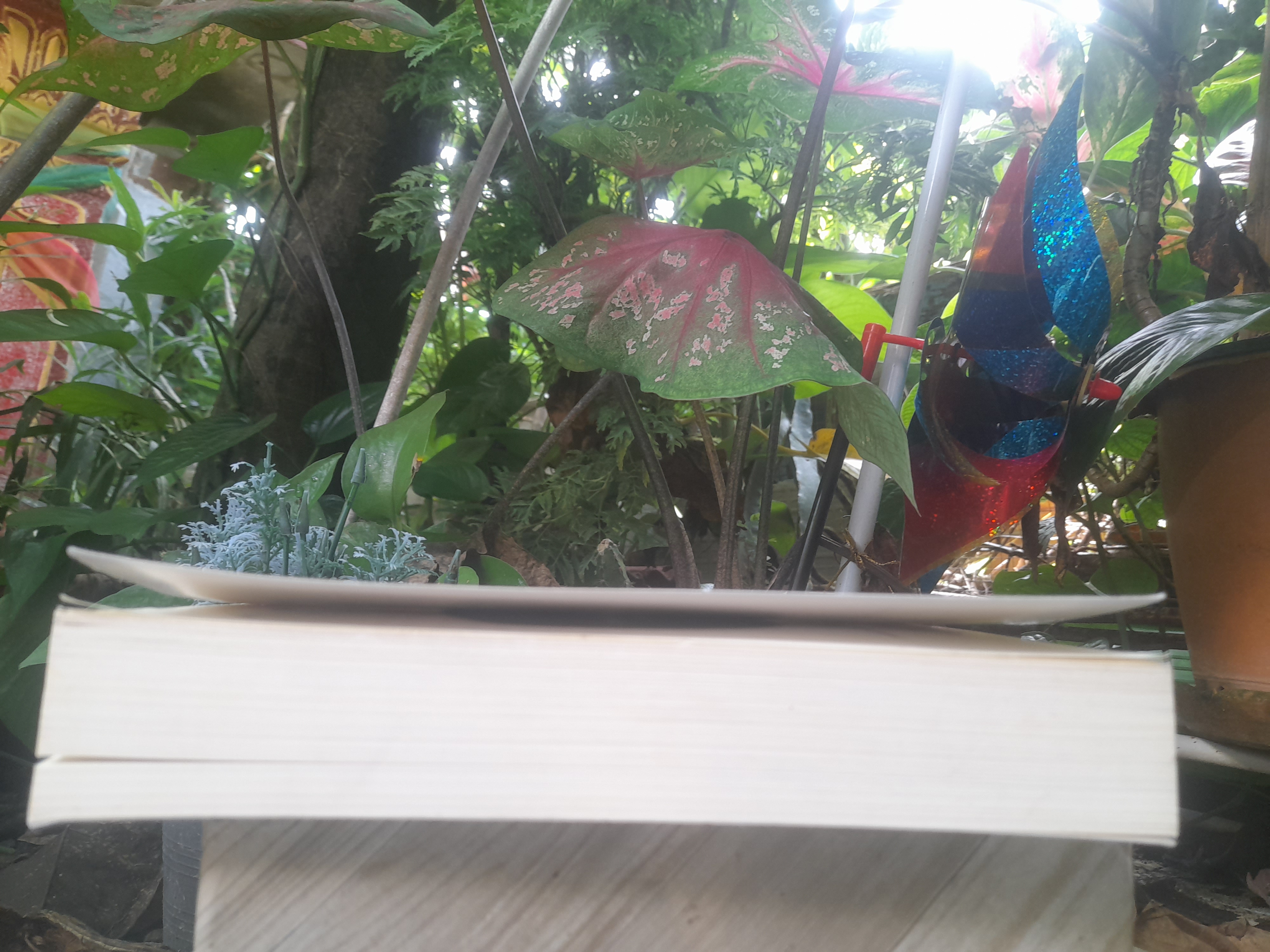 DESPERATION เดสเพอเรชั่น ของ STEPHEN KING แปลโดย สุวิทย์ ขาวปลอด หนังสือสะสม