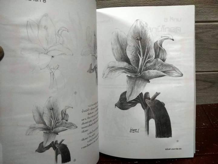 วาดเส้นดอกไม้ โดย อนันต์ ประภาโส