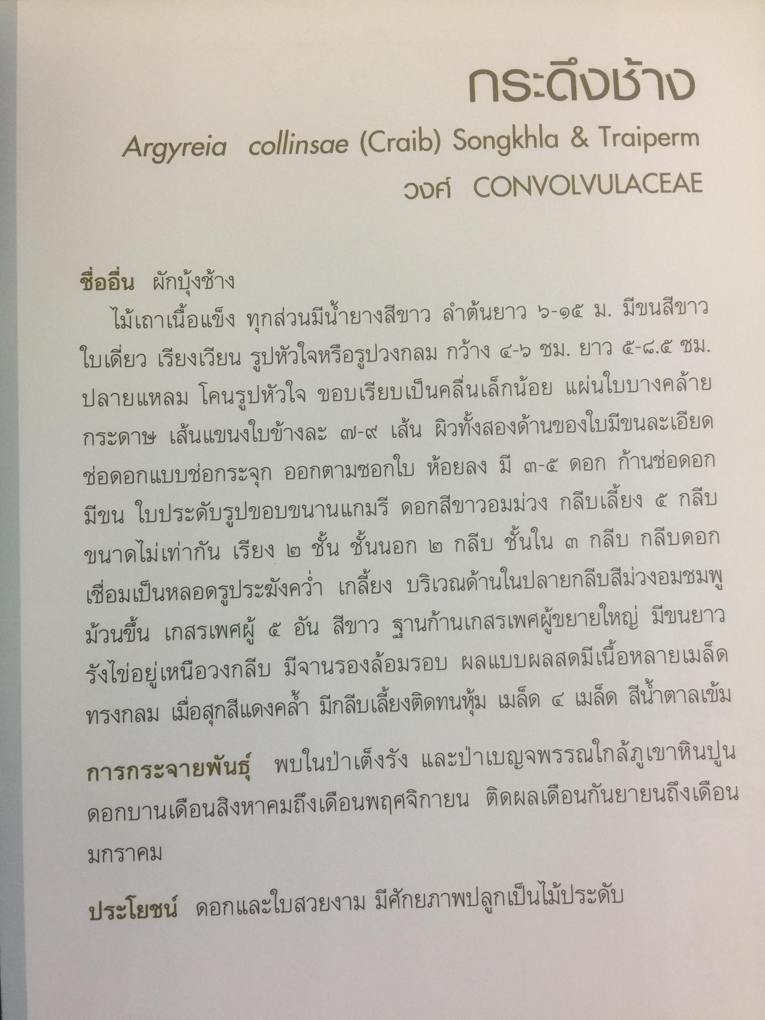 พรรณไม้พื้นเมืองไทย จากเขาใหญ่สู่ลำน้ำโขง ผู้จัดทำ กรมวิชาการเกษตร 0 กก.