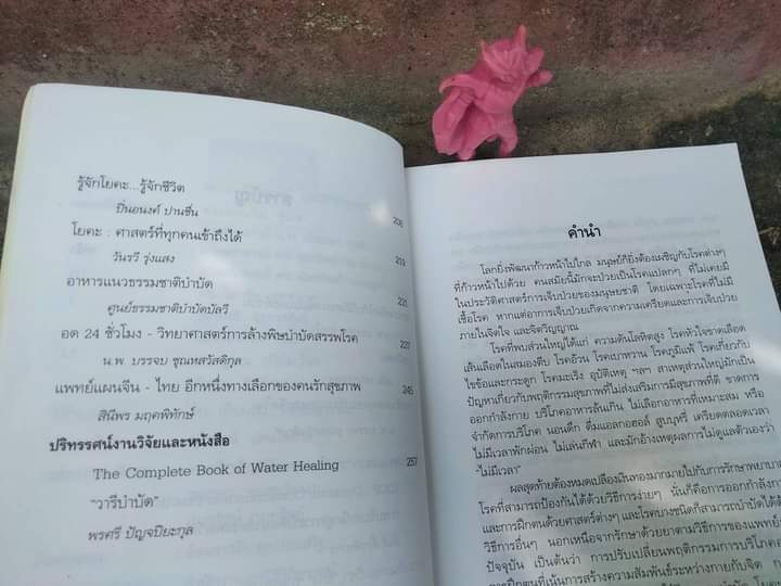 วิถีสุขภาพแบบบูรณาการ และ สุขภาพแบบบูรณาการ ประสานศาสตร์ พุทธ เต๋า โยคะ