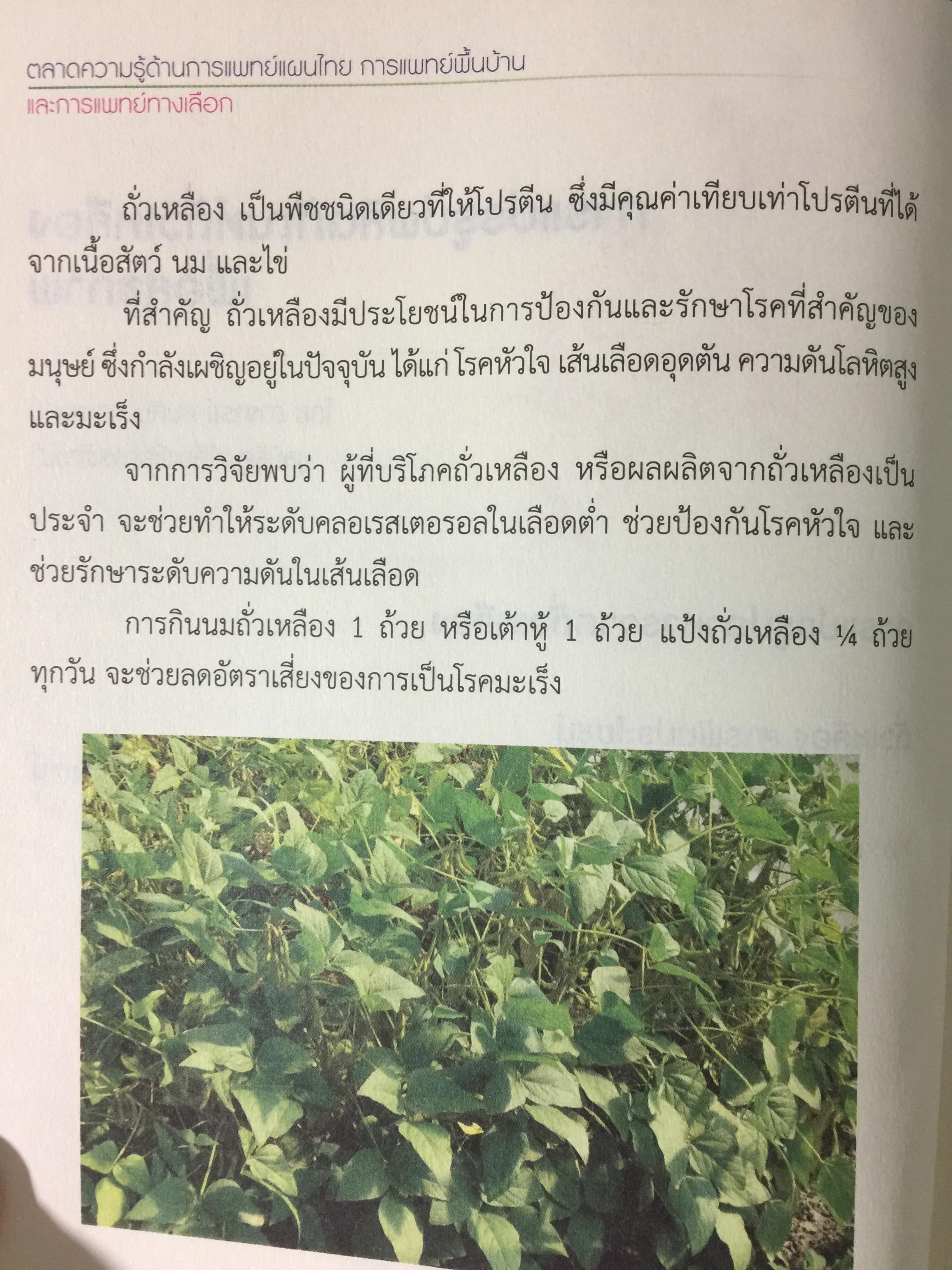 ตลาดความรู้ด้านการแพทย์แผนไทย การแพทย์พื้นบ้านและการแพทย์ทางเลือก จัดทำโดย กรมการแพทย์แผนไทยและการแพทย์ทางเลือก 0 กก.