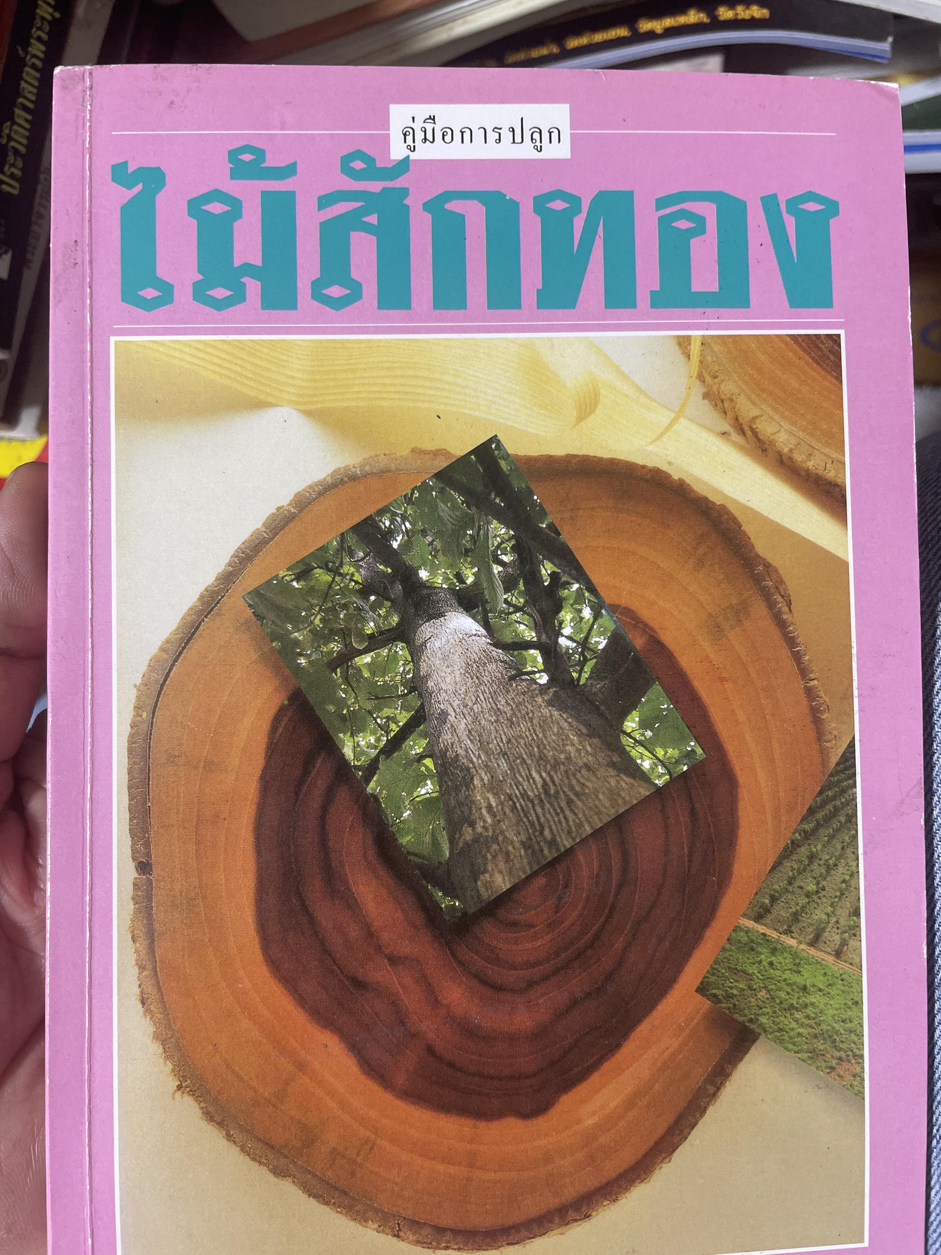ไม้สักทอง การลงทุนปลูกไม้สักเพื่อการค้า 700 กรัม