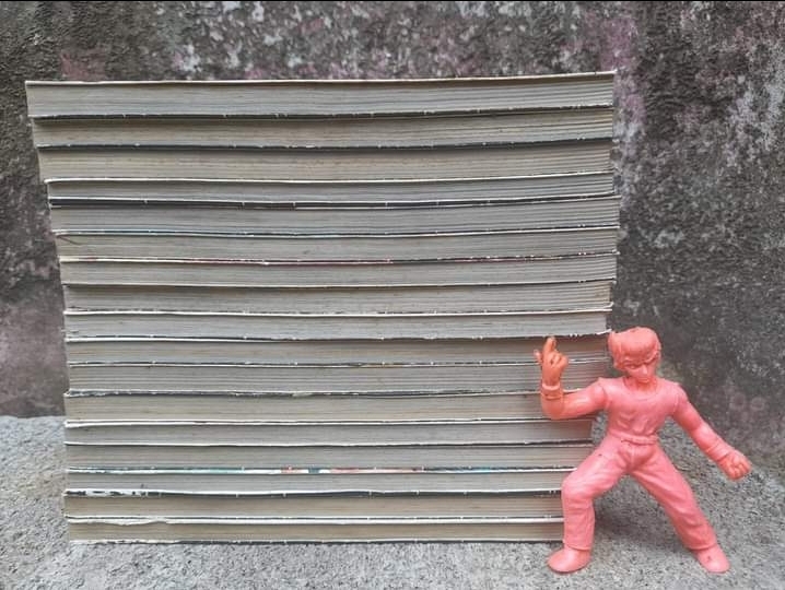 ฮิคารุ เซียนโกะ สภาพสะสม ภาคแรก 1-17