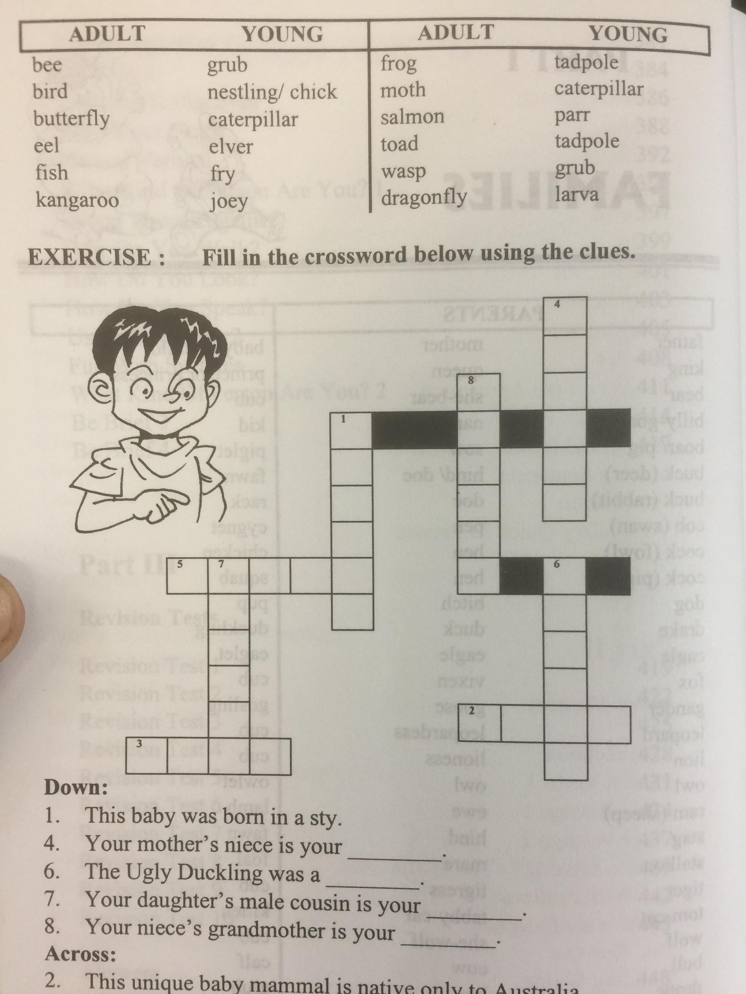 BASIC STUDENTS ‘ VOCABULARY is a most comprehensive guide to mastering the English language BY Sophie Leu . 0 กก.