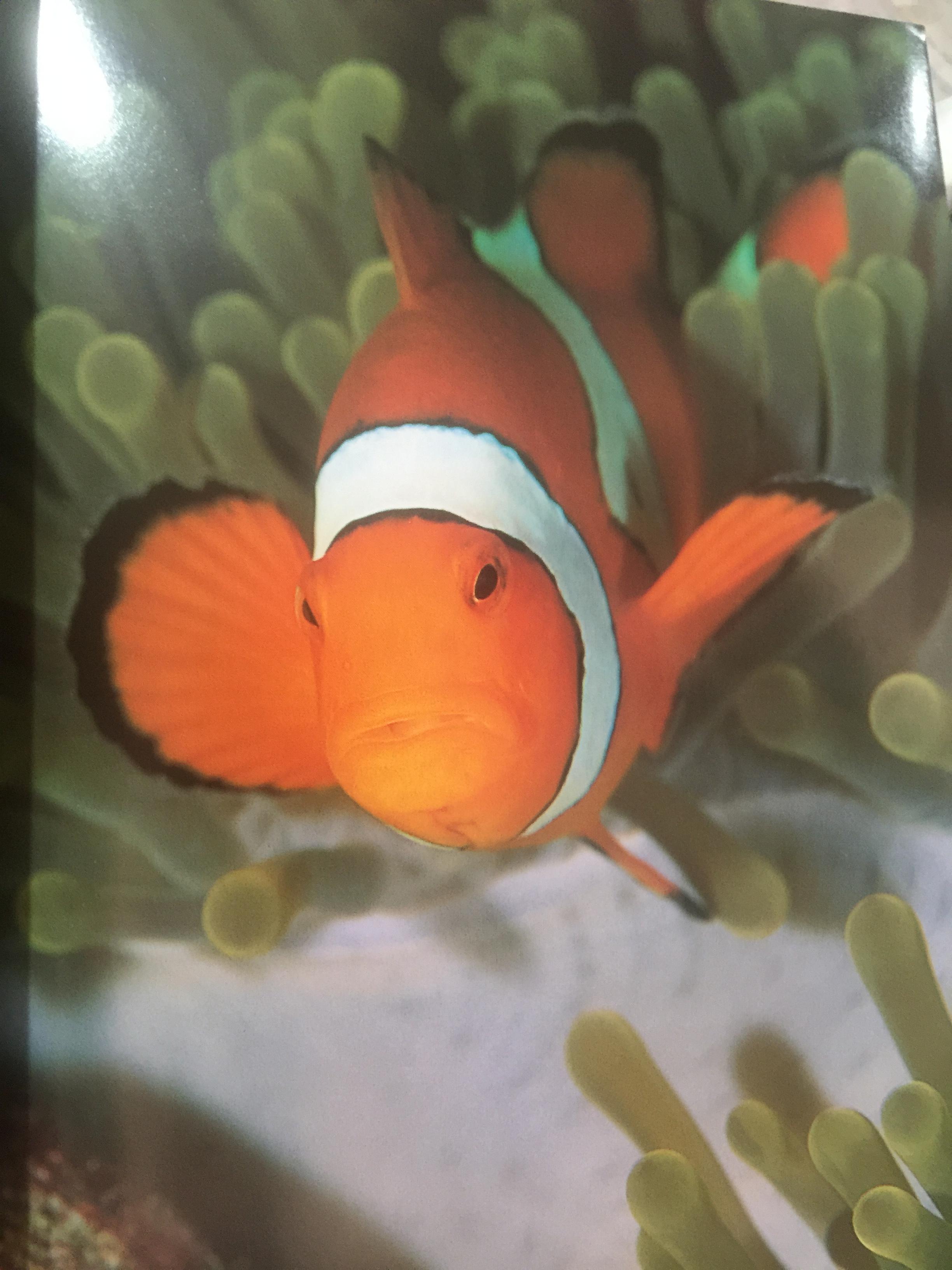 หมู่เกาะสิมิลัน หมู่เกาะสุรินทร์. อ่าวพังงา. ความงามแห่งทะเลอันดามัน จัดพิมพ์และเผยแพร่โดย การท่องเที่ยวแห่งประเทศไทย และธนาคารกรุงเทพ 0 กก.