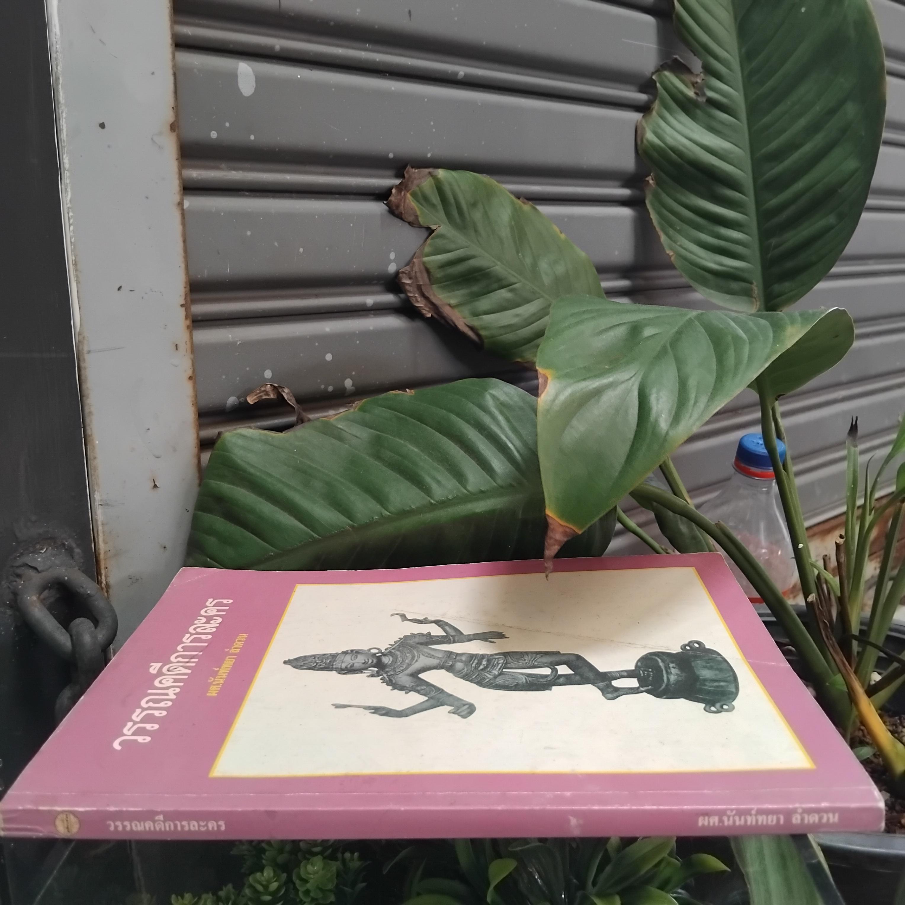 วรรณคดีการละคร โดย ผศ.นันท์ทยา ลำดวน วิธีการอ่านและวิธีการศึกษาบทละคร