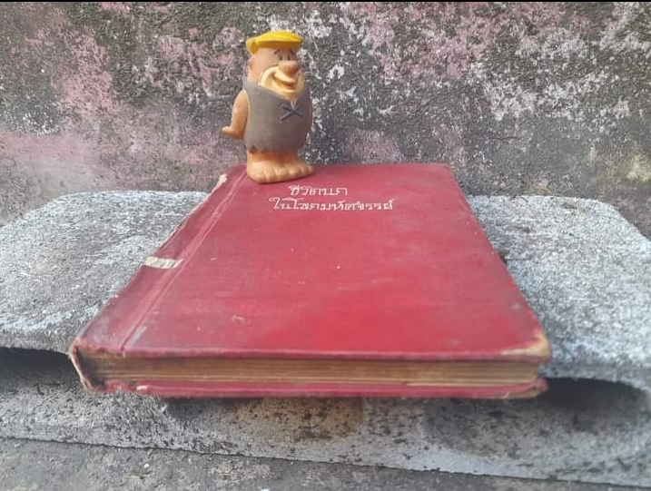 ชีวิตนกในโลกมหัศจรรย์ โดย ชิต สุนทโรทยาน