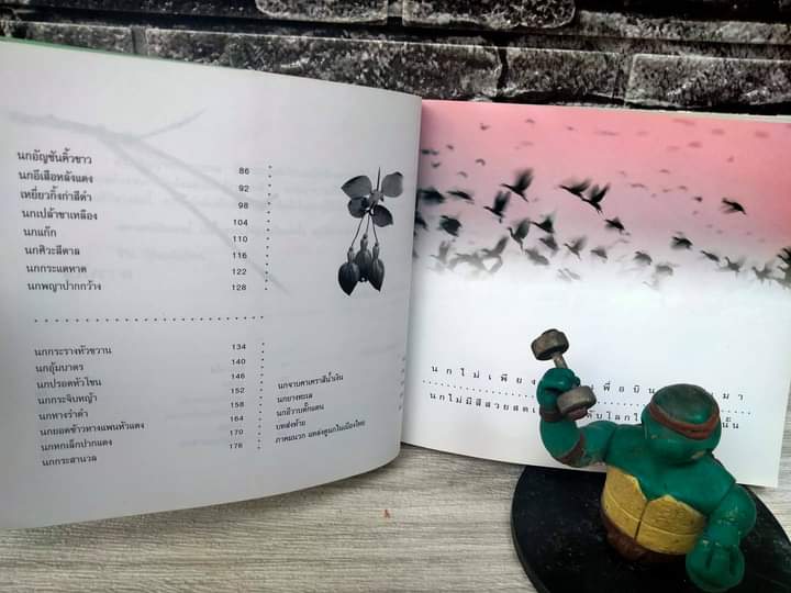 นก ดวงตาและหัวใจ ของ ม.ล.ปริญญากร วรวรรณ