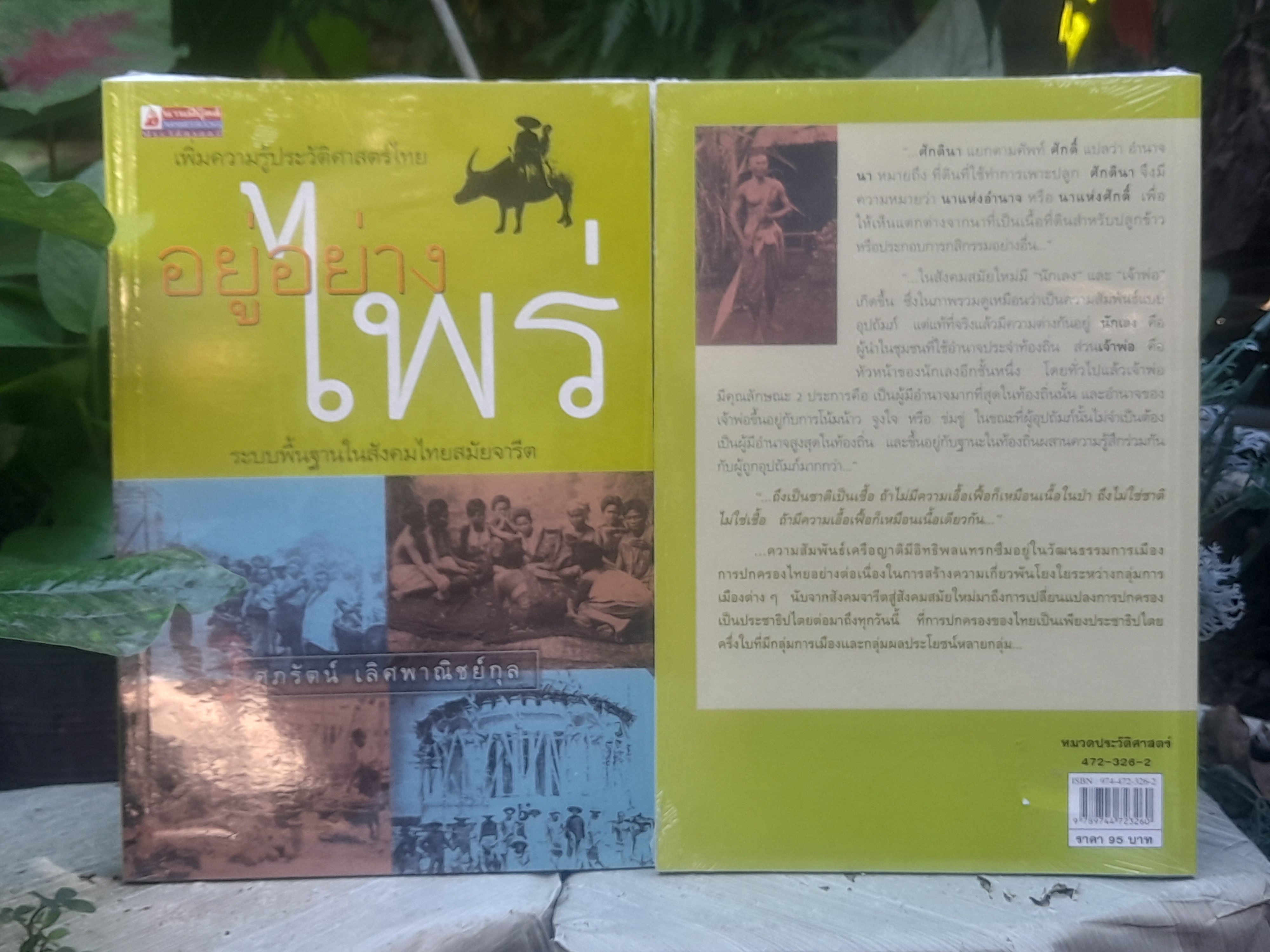 เพิ่มความรู้ประวัติศาสตร์ไทย อยู่อย่างไพร่ ระบบพื้นฐานในสังคมไทยสมัยจารีต โดย ศุภรัตน์ เลิศพาณิชย์กุล หนังสือมือหนึ่งในซีล