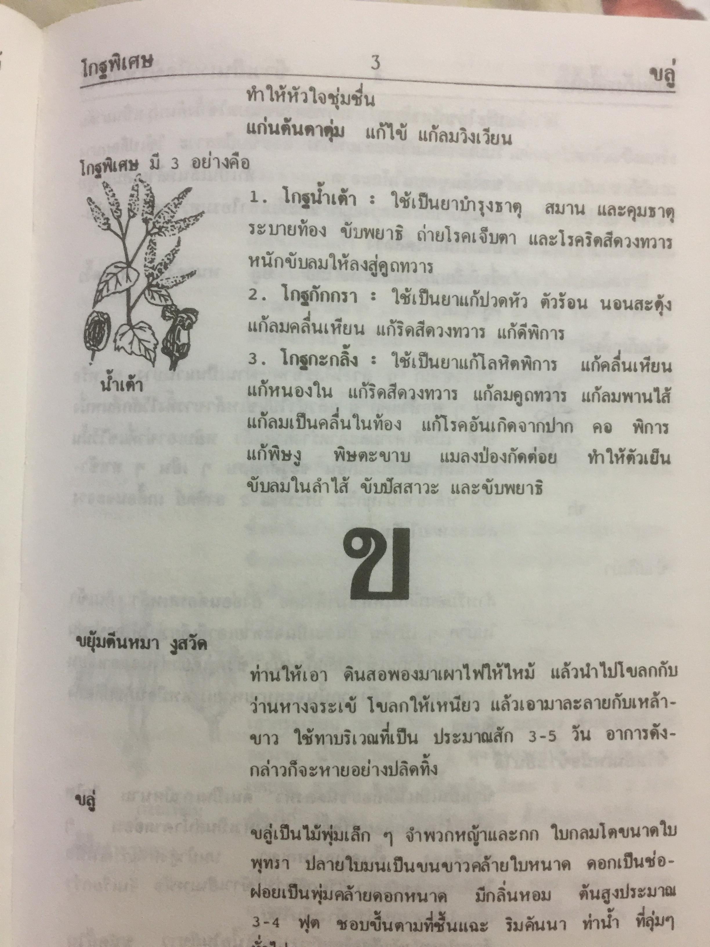 พจนานุกรม สมุนไพรไทย.(ฉบับสรรพคุณยาไทย) โดย ดร.วิทย์ เที่ยงบูรณธรรม 0 กก.