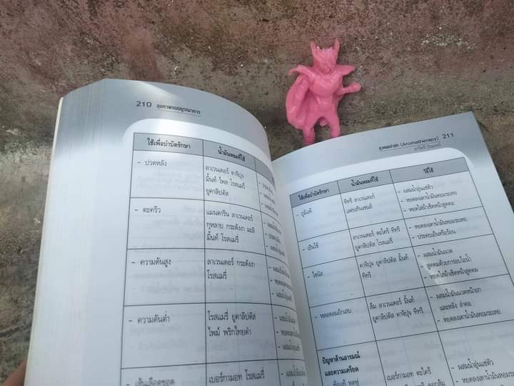 วิถีสุขภาพแบบบูรณาการ และ สุขภาพแบบบูรณาการ ประสานศาสตร์ พุทธ เต๋า โยคะ