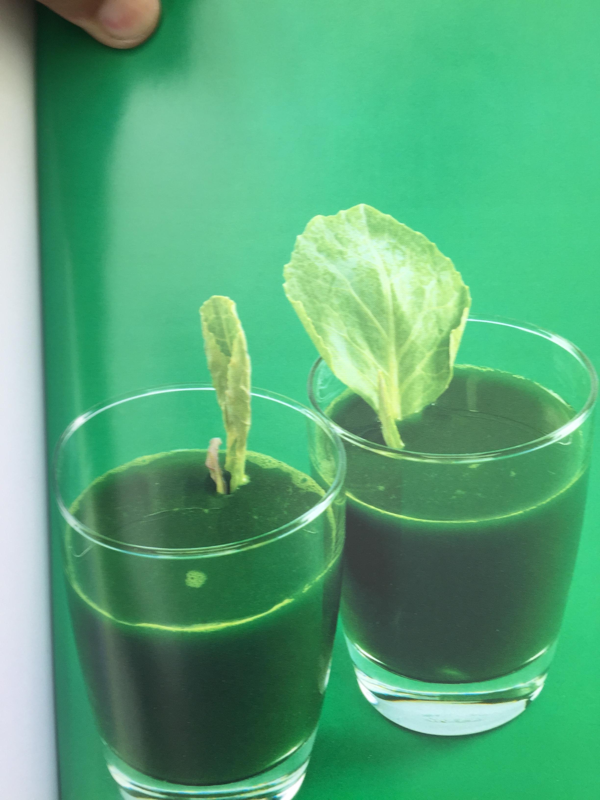 พลังมหัศจรรย์ ในน้ำผักผลไม้. ผู้เขียน เภสัชกร วรจักร ศิริบริรักษ์ 1,200 กรัม