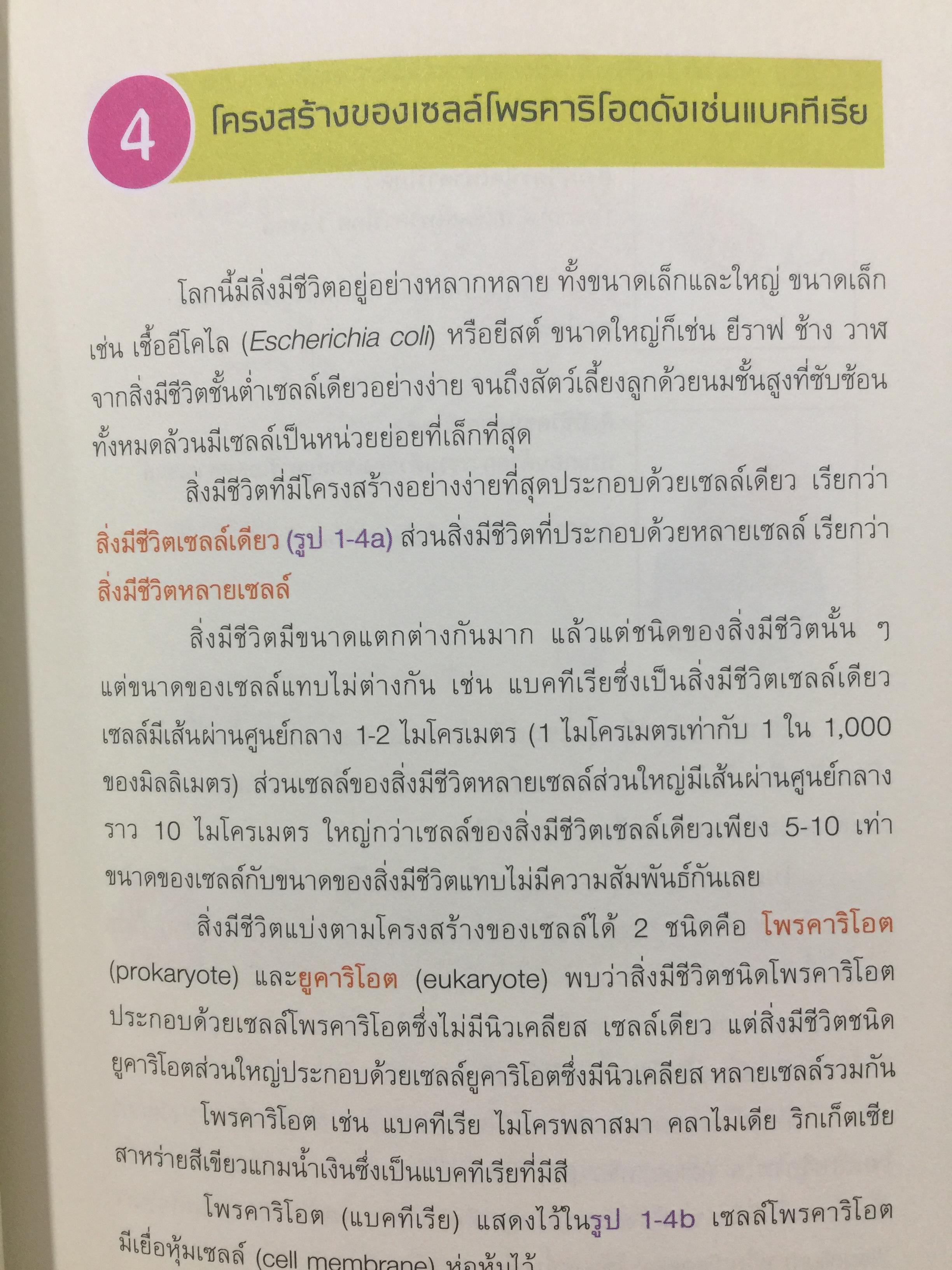 DNA ฉบับการ์ตูน. ความรู้พื้นฐานเรื่อง DNA. RNA สารพันธุกรรมในร่างกายมนุษย์ ฉบับอ่านสนุก เข้าใจง่าย อ่านสนุก โดย Satoshi. Ikuta. แปลและเรียบเรียงโดย รศ.ดร.ศักดา ดาดวง 0 กก.