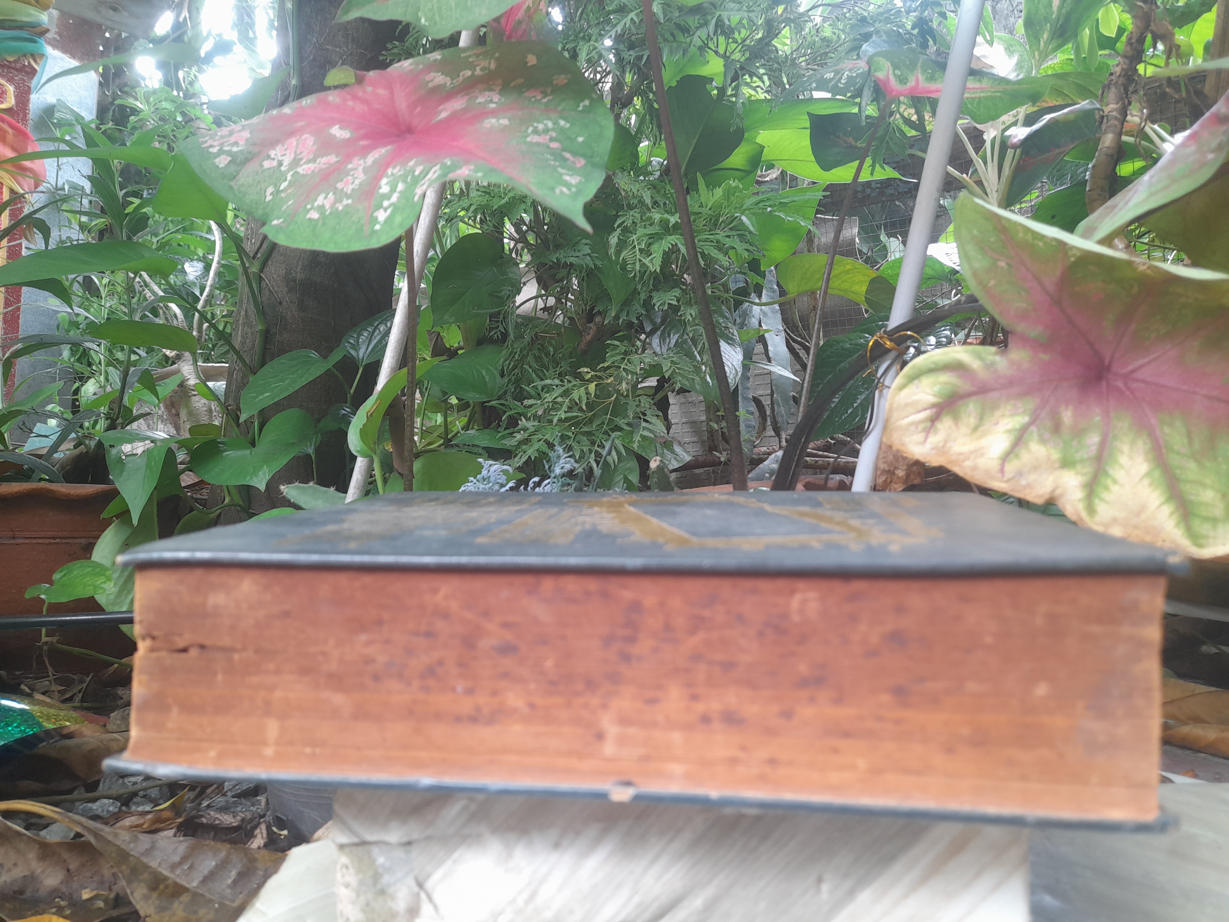 สารคดีหลังสงครามโลกครั้งที่ 2 จนถึงยุคปฏิรูป โดย วิเทศกรณีย์ หนังสือบันทึกประวัติศาสตร์ไว้อย่างละเอียด