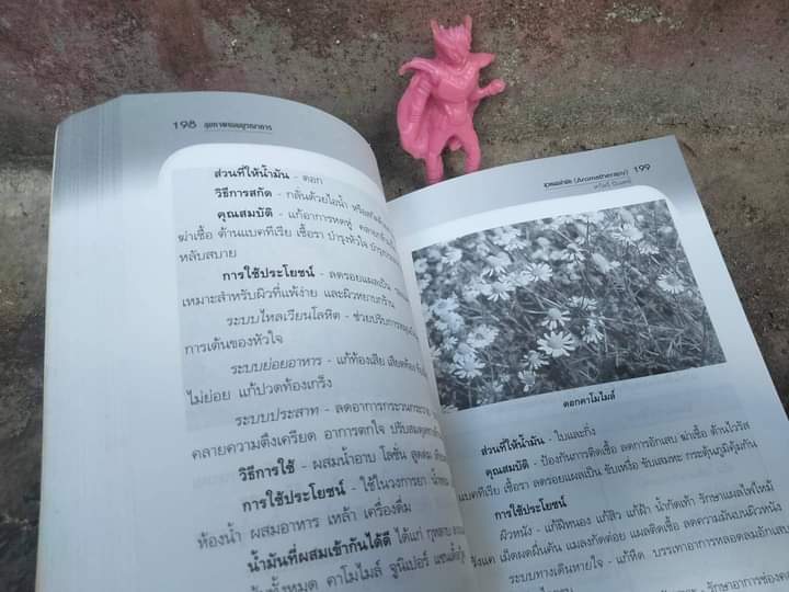 วิถีสุขภาพแบบบูรณาการ และ สุขภาพแบบบูรณาการ ประสานศาสตร์ พุทธ เต๋า โยคะ