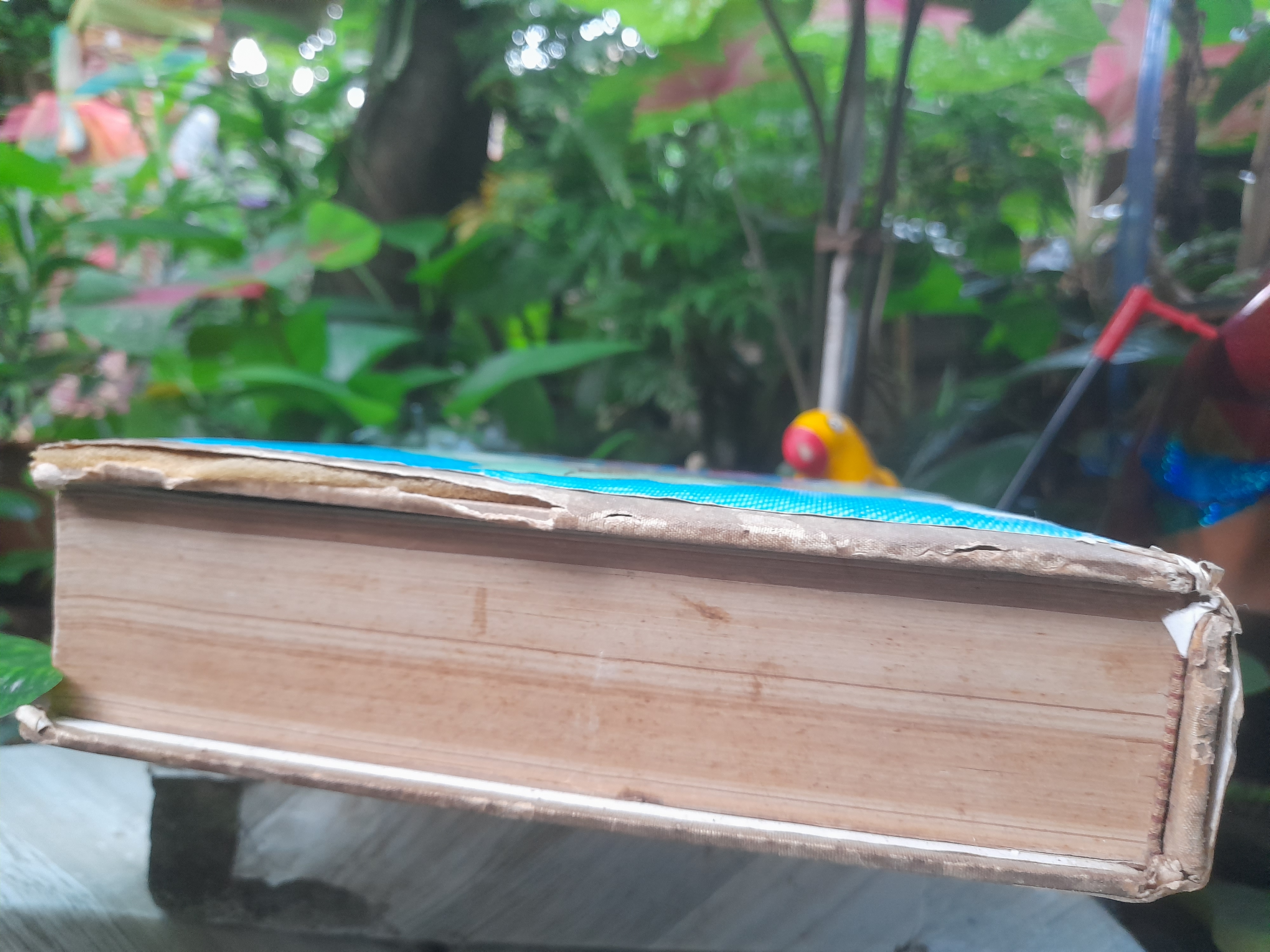 เจ้าฟ้า โดย ประยุทธ สิทธิพันธ์ หนังสือที่รวบรวมพระราชประวัติพระบรมราชวงศ์ ในราชวงศ์จักรี