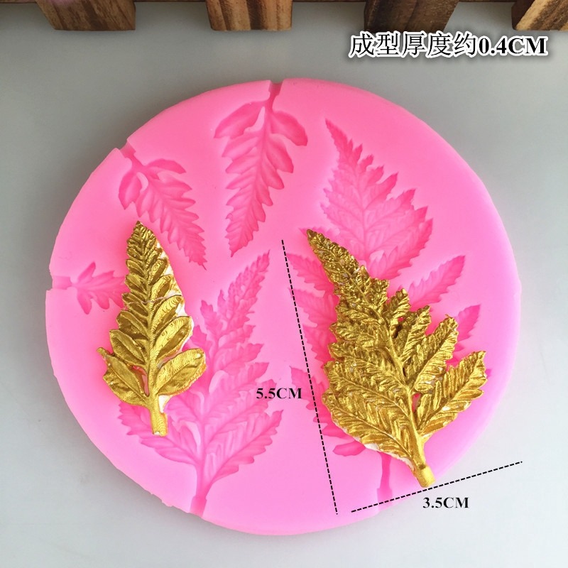 พิมพ์ฟองดอง ใบ...เฟิร์น...............