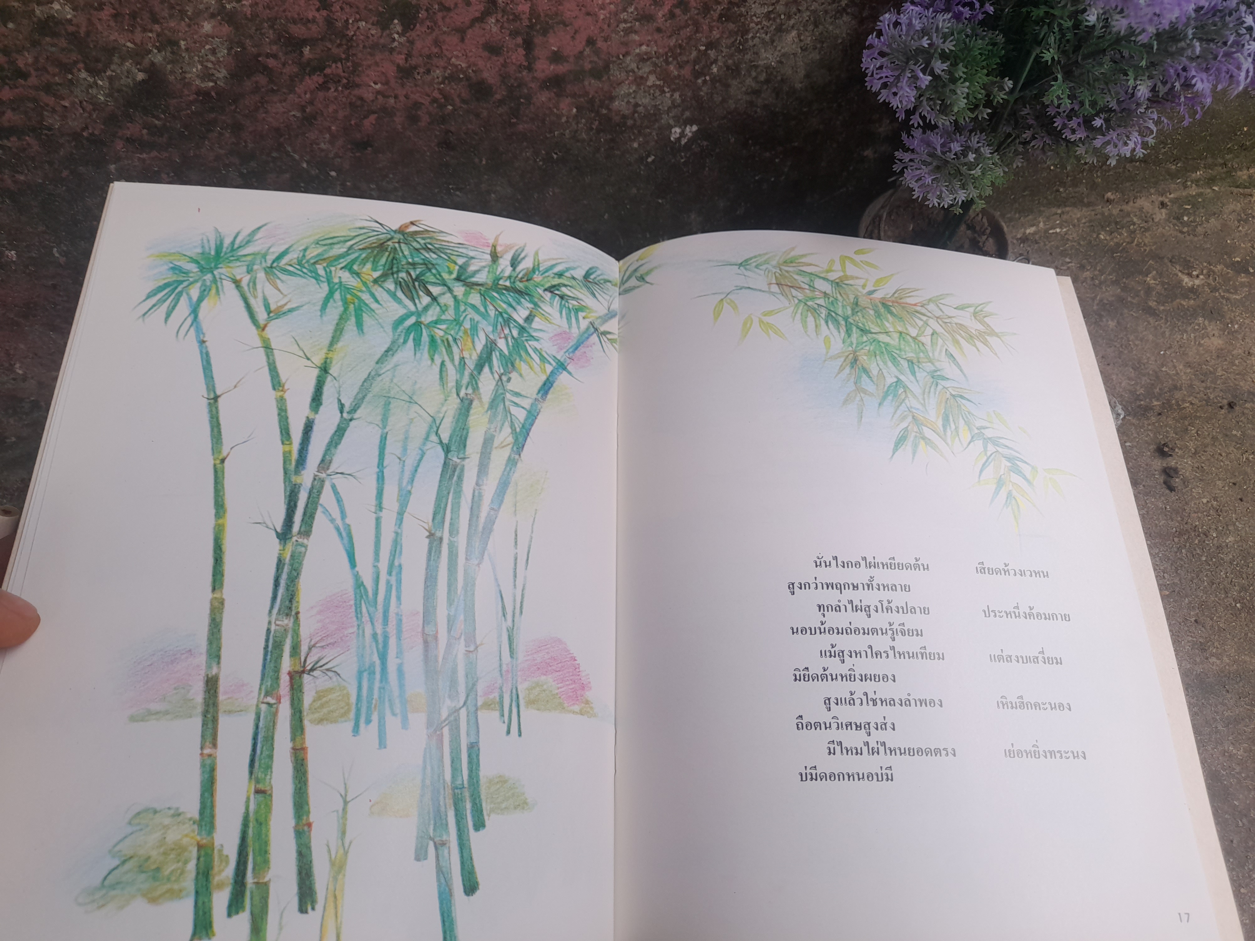 ธรรมชาติคือครู โดย : วาณิช จรุงกิจอนันต์