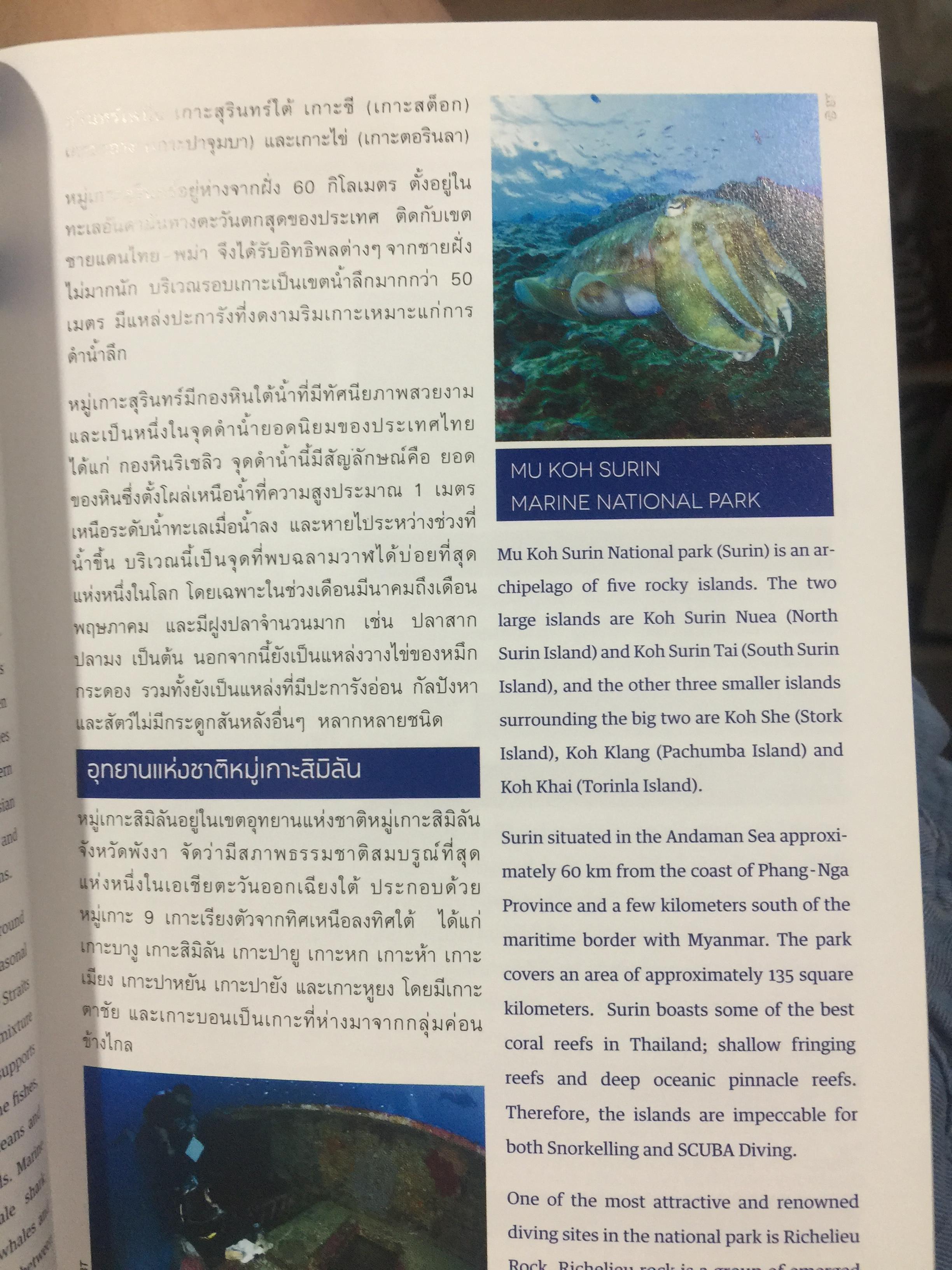 แหล่งดำน้ำที่สำคัญในประเทศไทย. DIVING ATTRACTIONS IN THAILAND 0 กก.